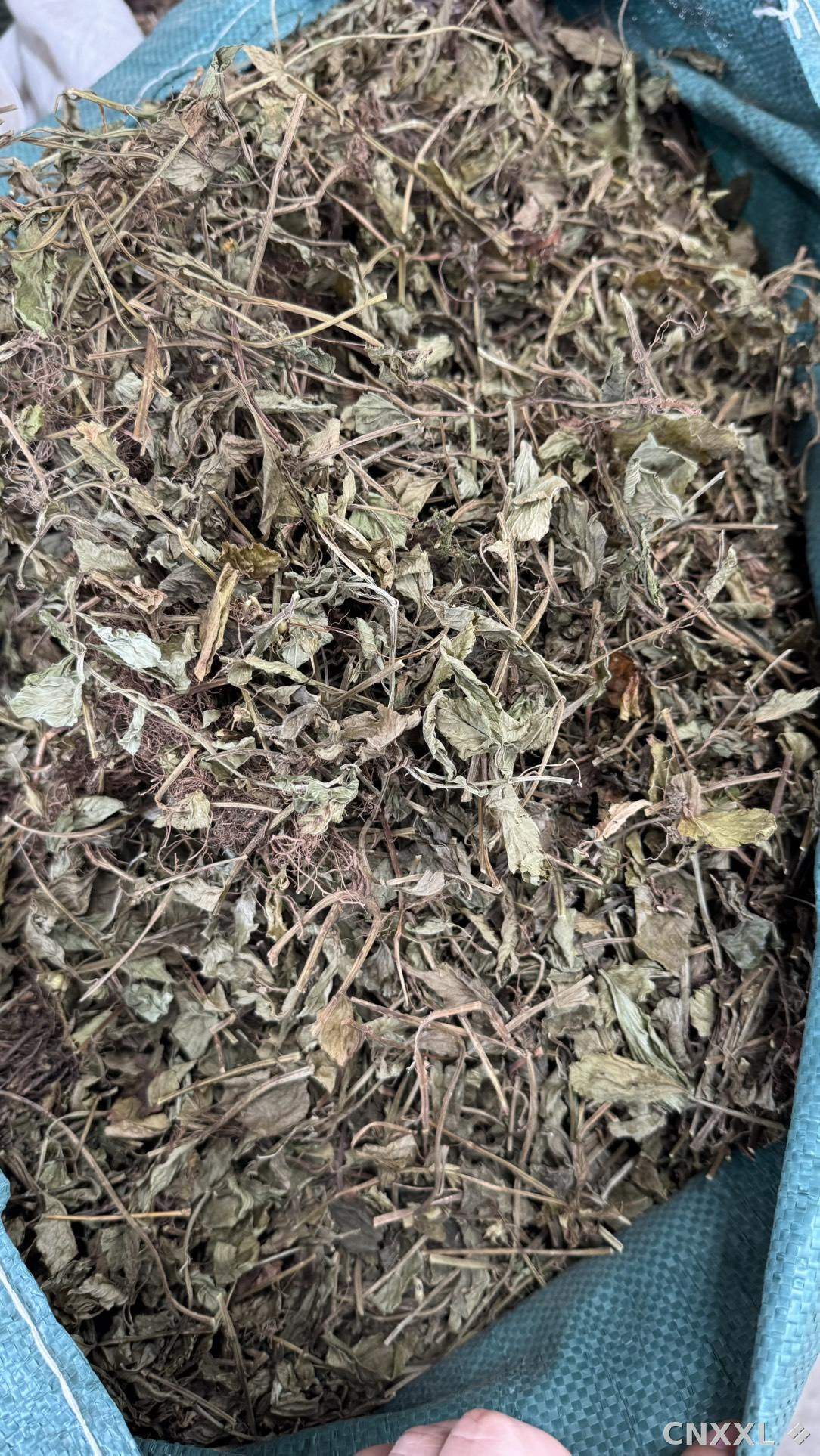 spice_25704_010fcc9c_2.jpg