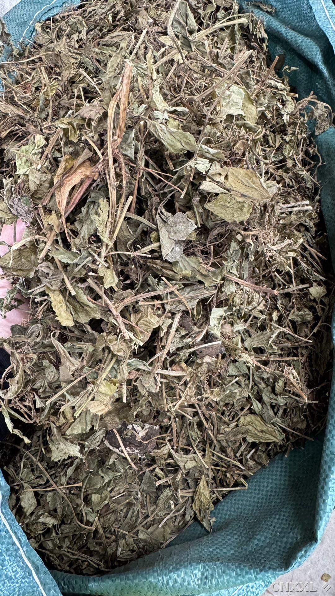 spice_25704_d039b9e7_3.jpg
