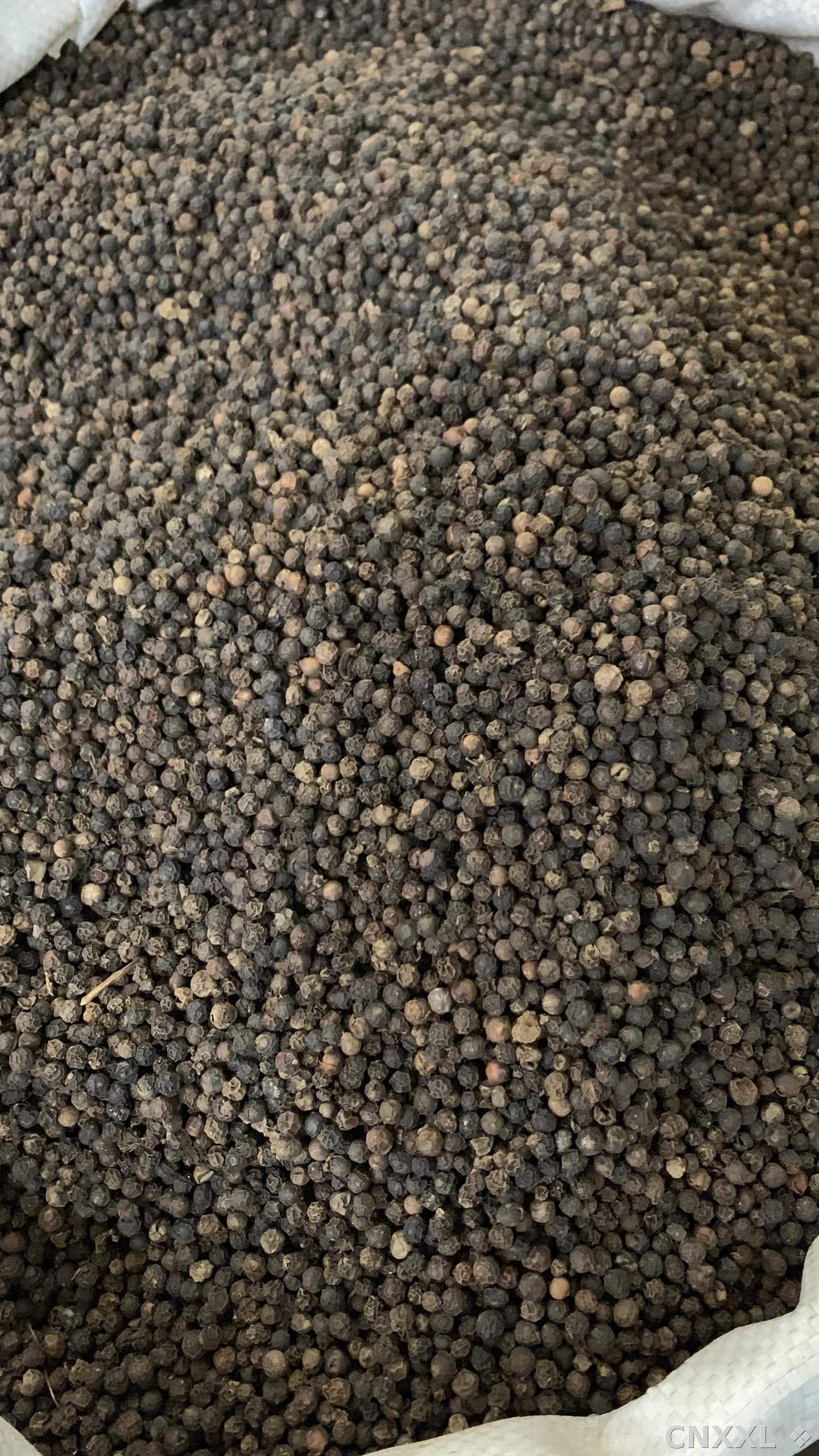 spice_25705_7d241ae1_3.jpg