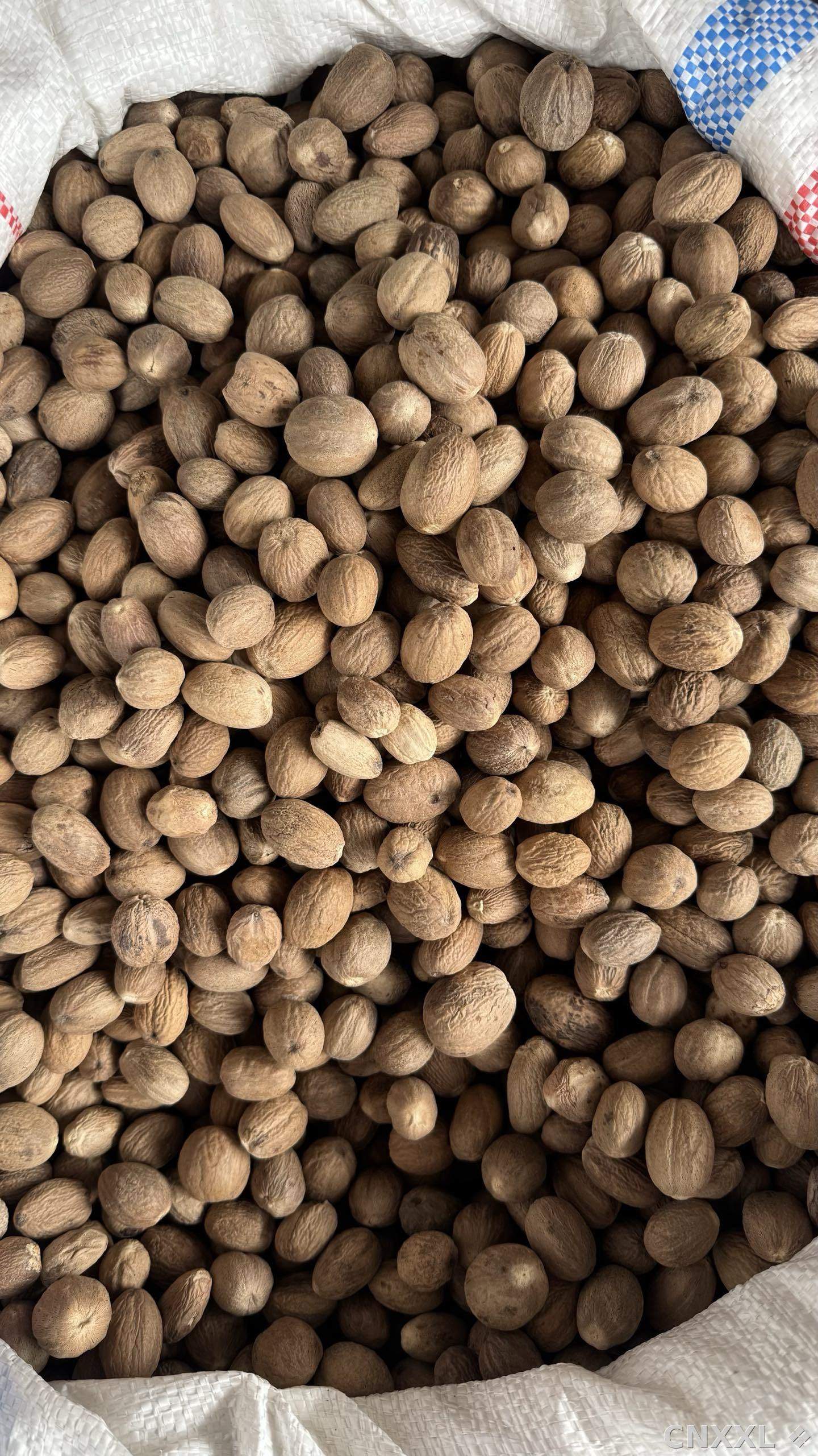 spice_25707_0a8e8057_3.jpg