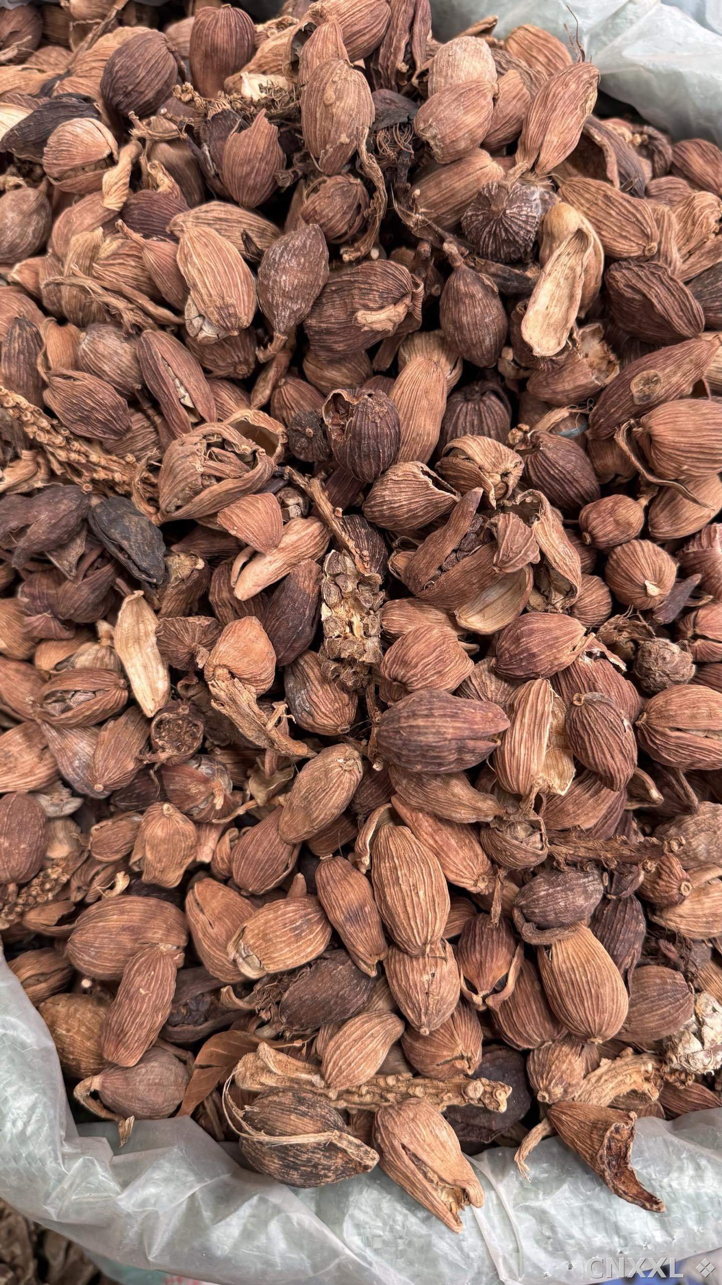spice_25713_96fbe402_3.jpg