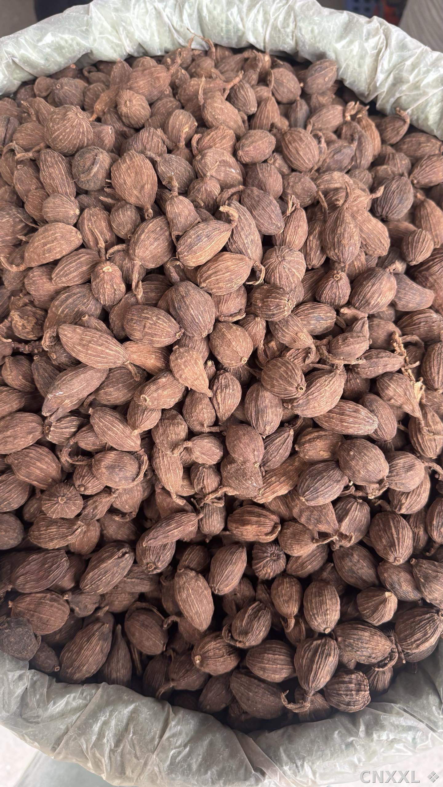 spice_25733_bb9f34fe_3.jpg