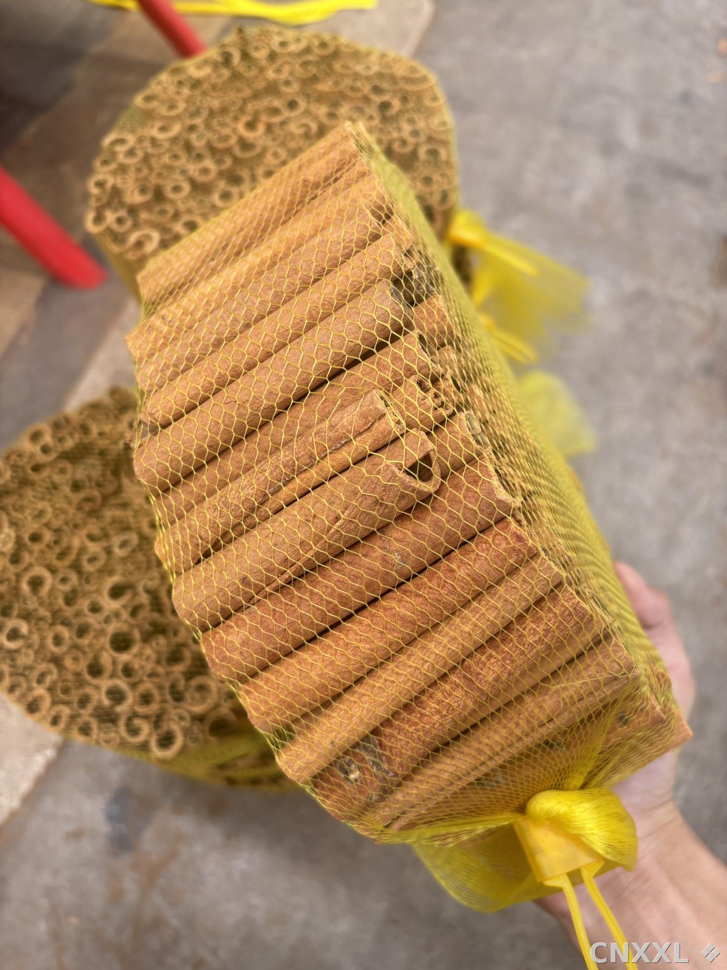 spice_25740_3e5ae022_2.jpg