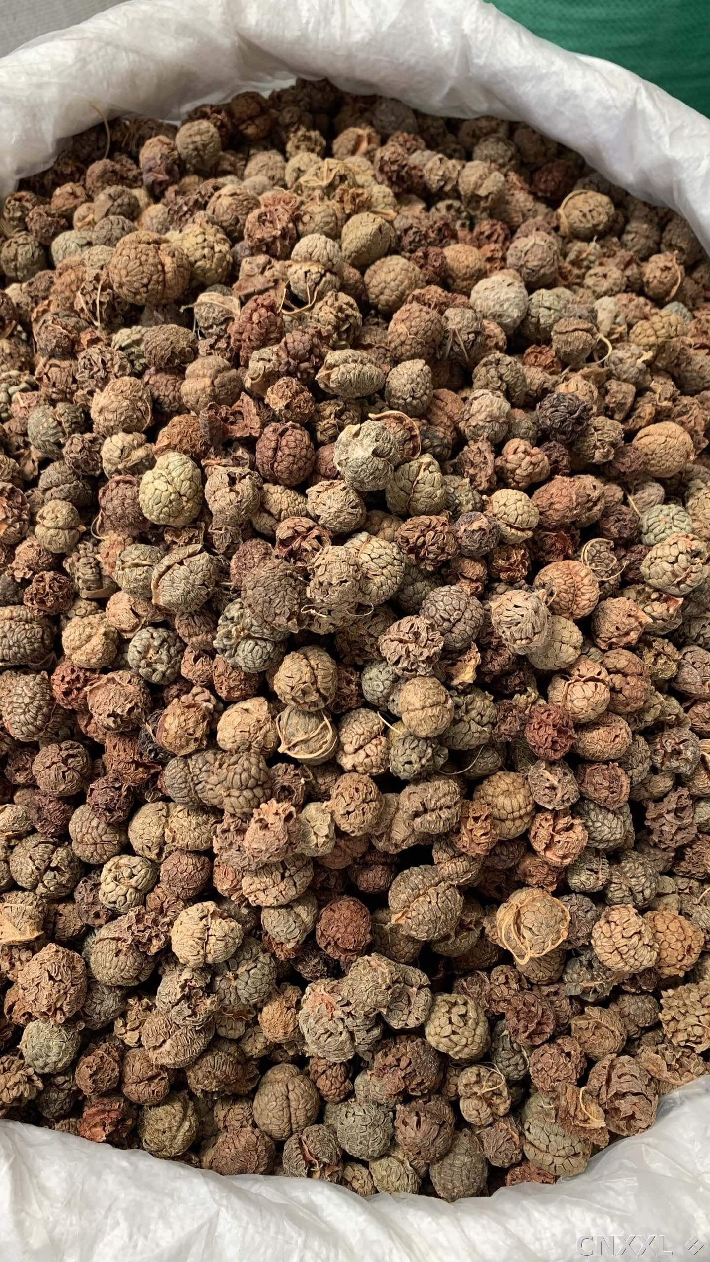 spice_25746_3f3cbeef_3.jpg