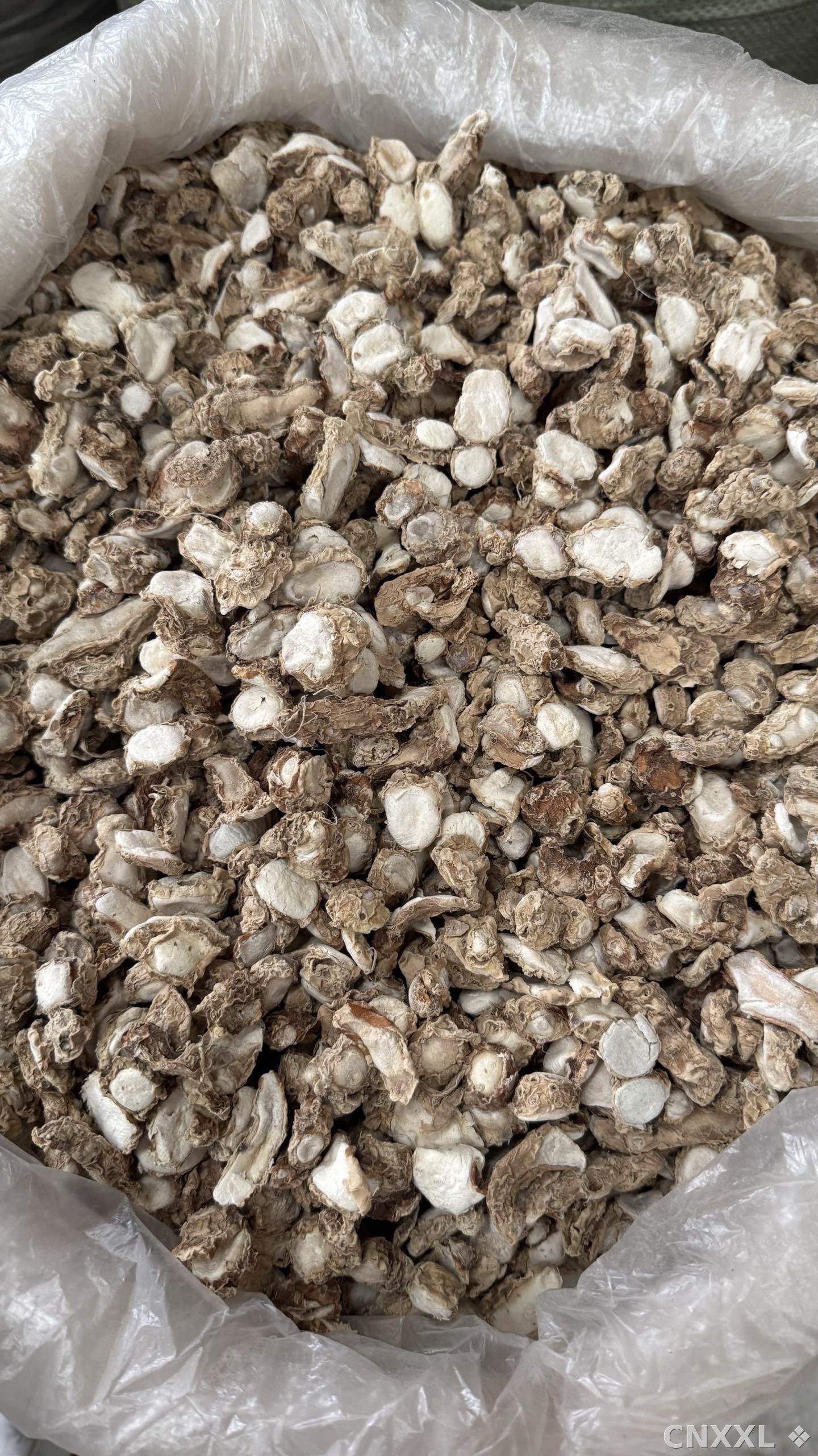spice_25748_6bf74652_3.jpg