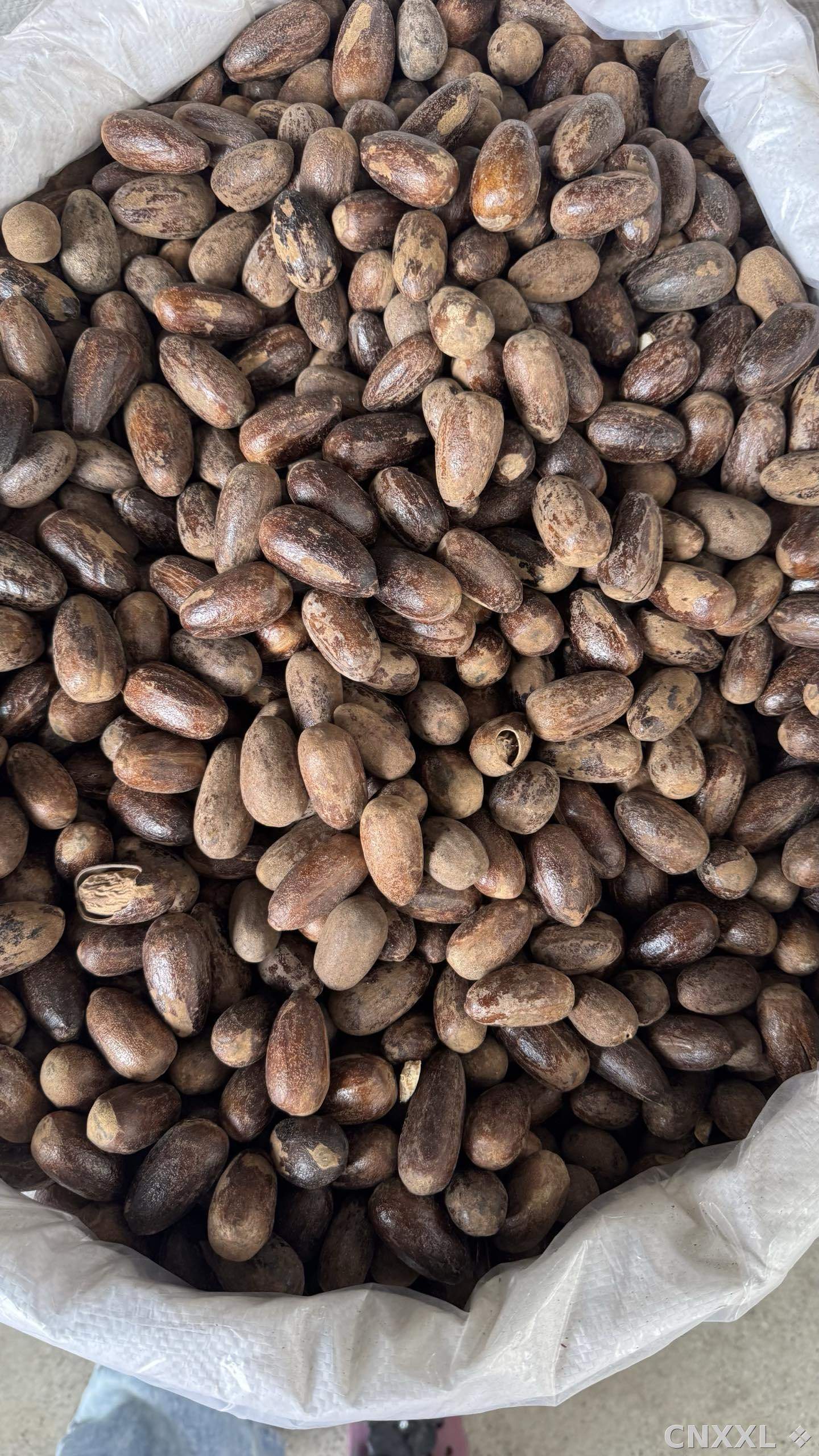 spice_25749_3a13ba5d_3.jpg