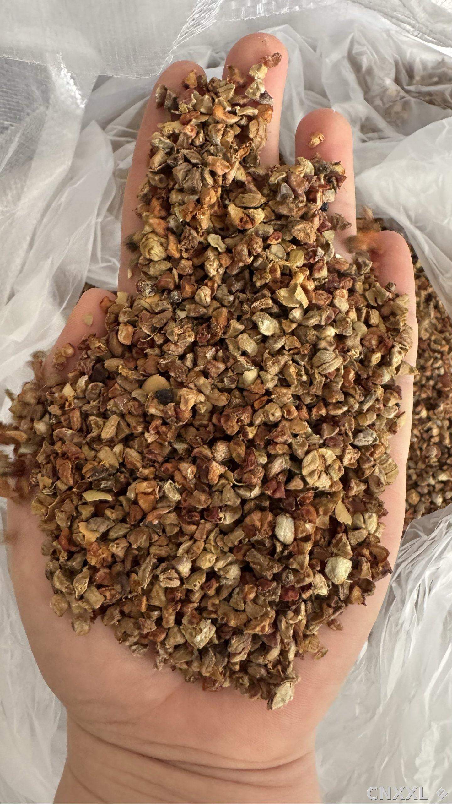 spice_25752_8ac8d9d0_1.jpg