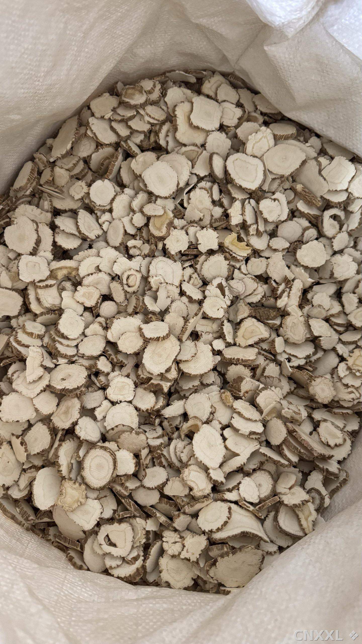 spice_25758_fa0cdc57_2.jpg