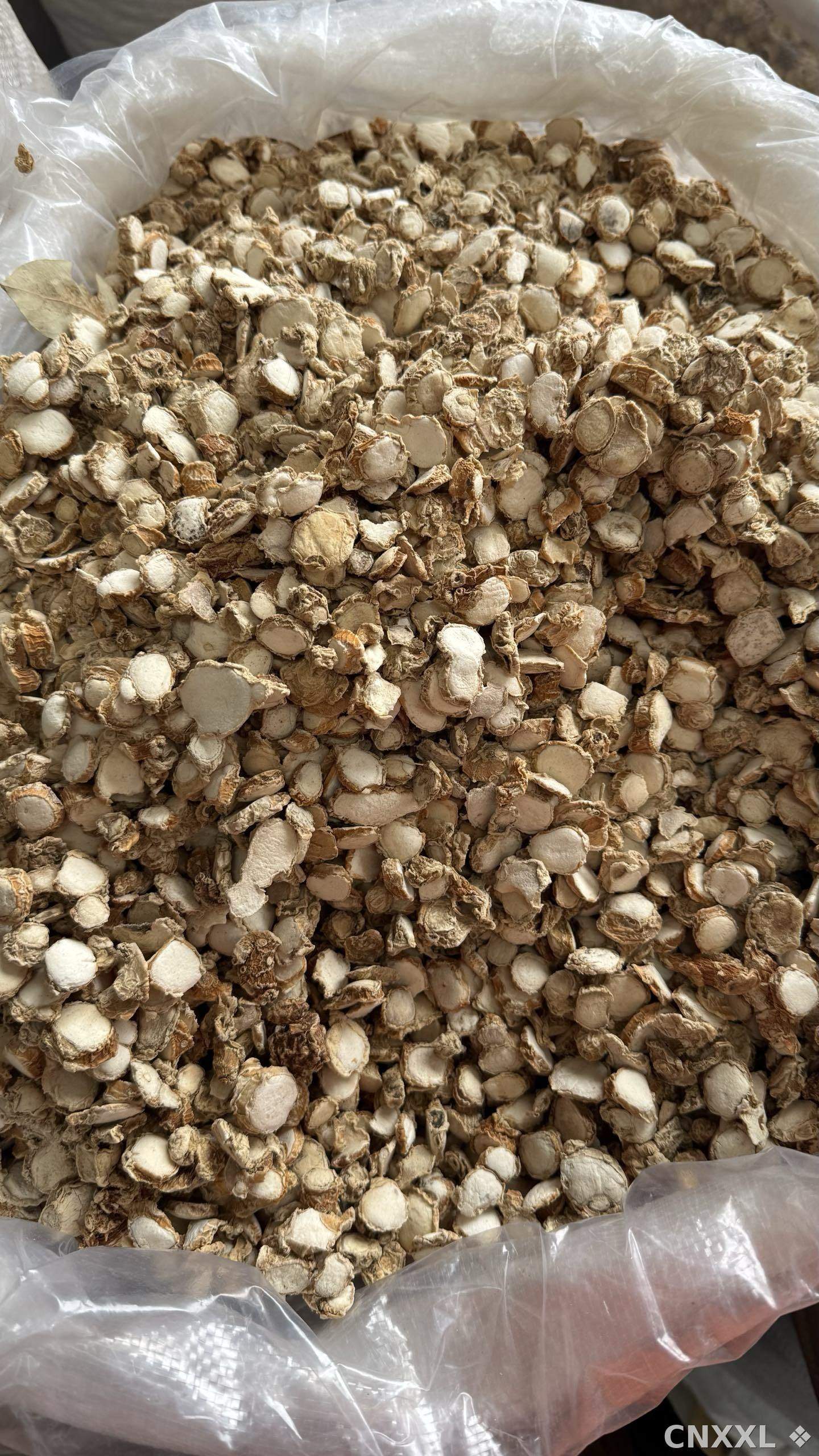 spice_25761_2e5772e4_3.jpg