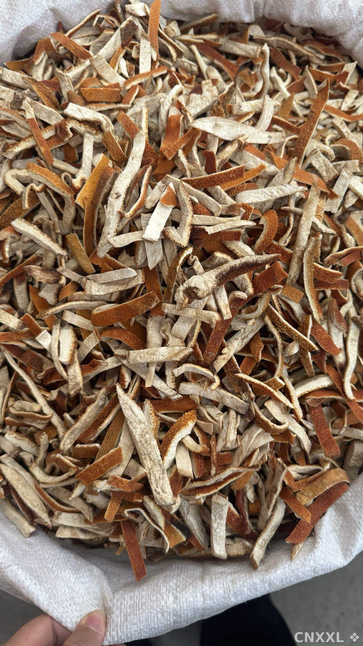 spice_25762_a84bd60f_3.jpg
