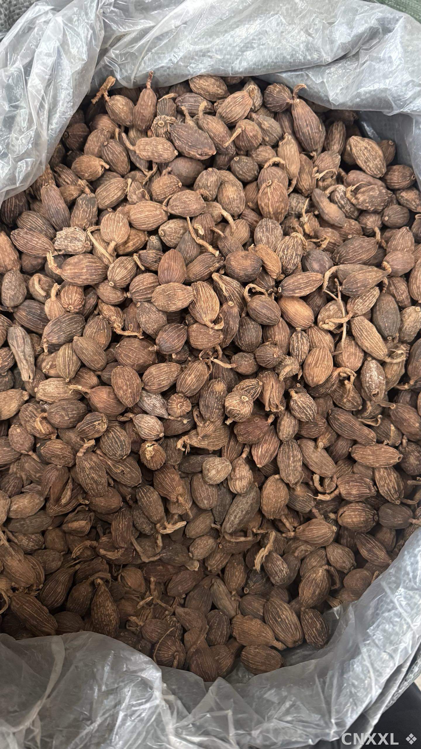 spice_25763_e9d54c8b_3.jpg