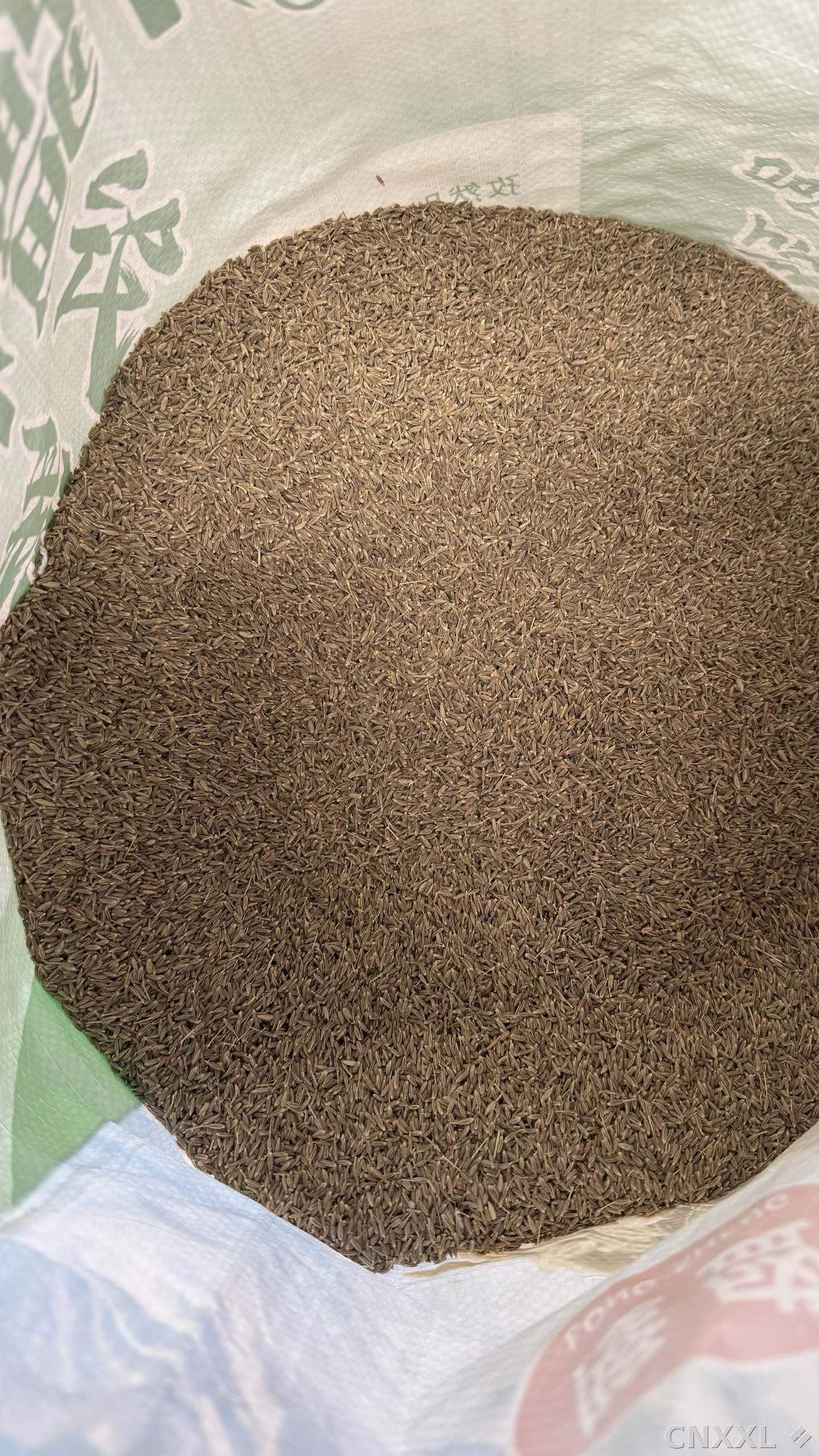 spice_25764_db4000ce_3.jpg