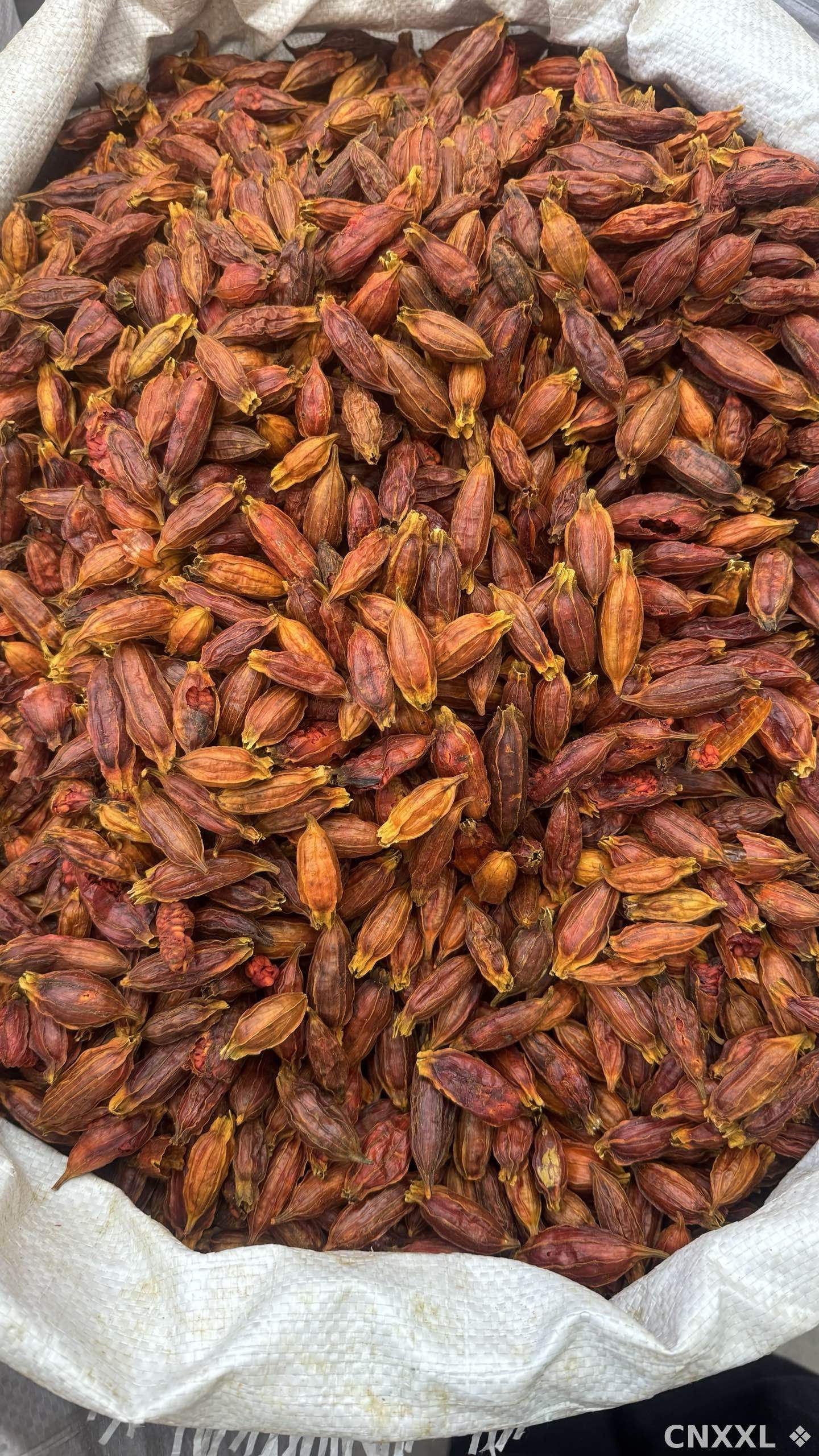 spice_25765_07e535ef_3.jpg