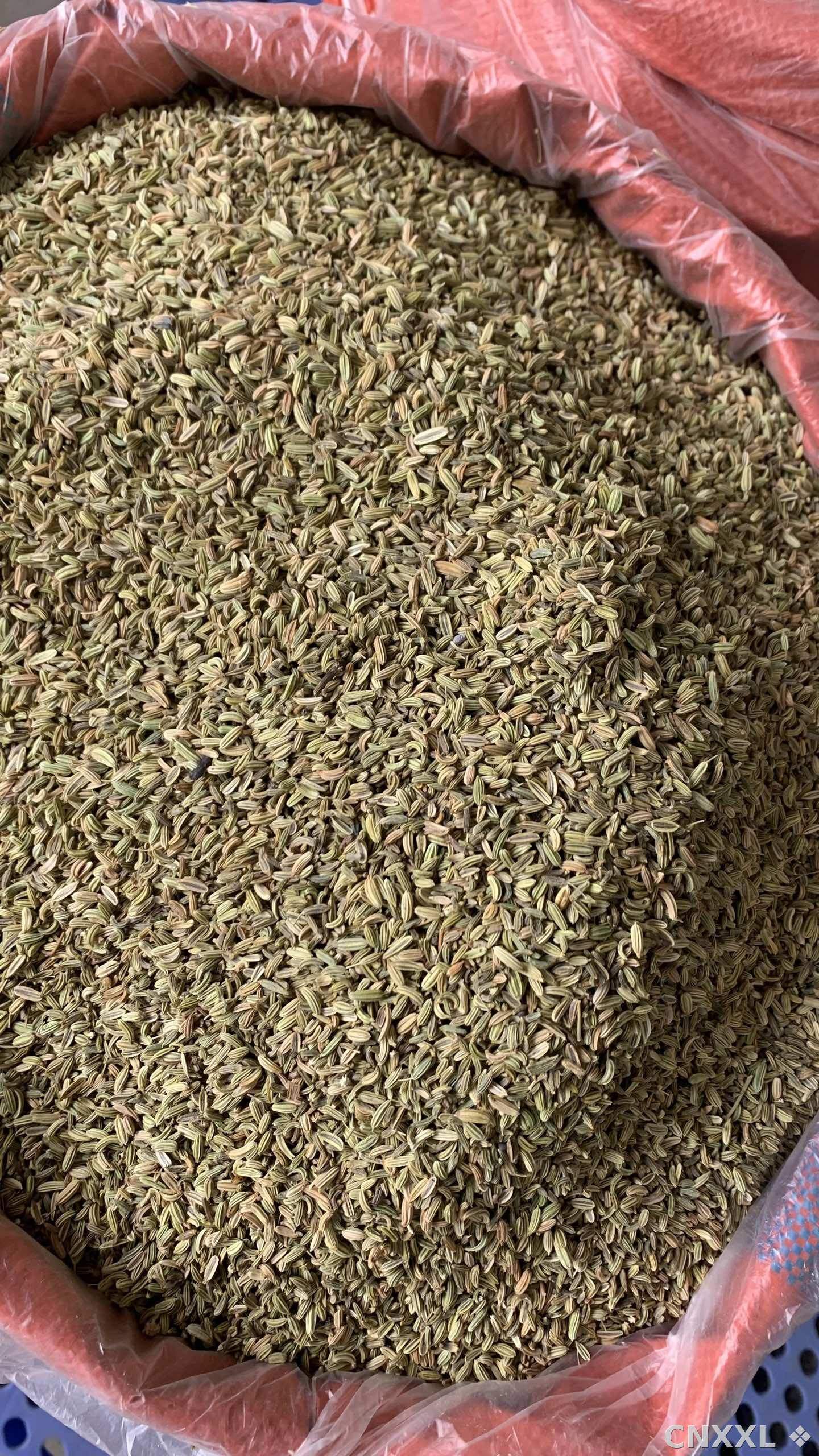 spice_25767_752afbc4_2.jpg
