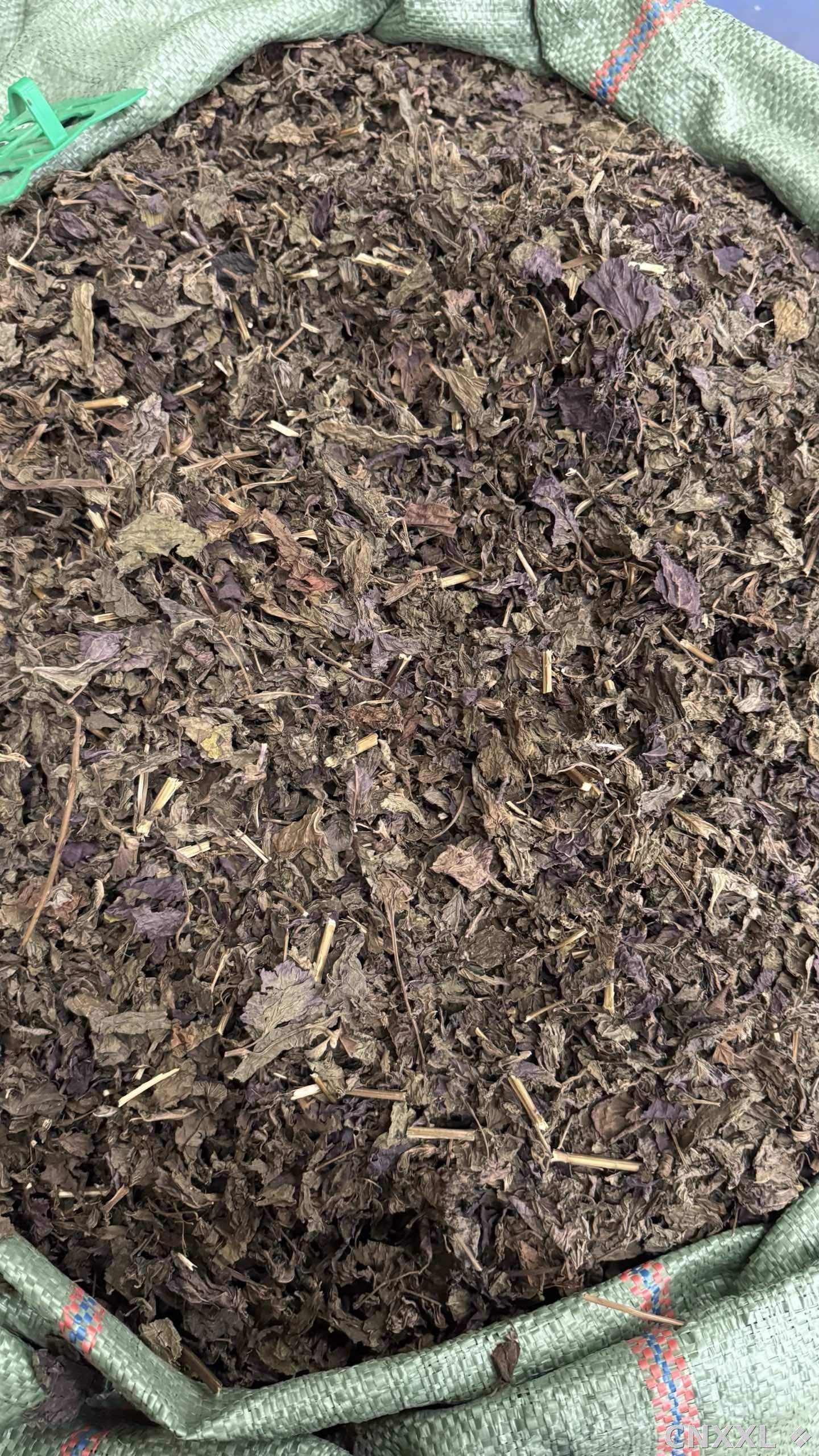 spice_25775_d138e05e_3.jpg