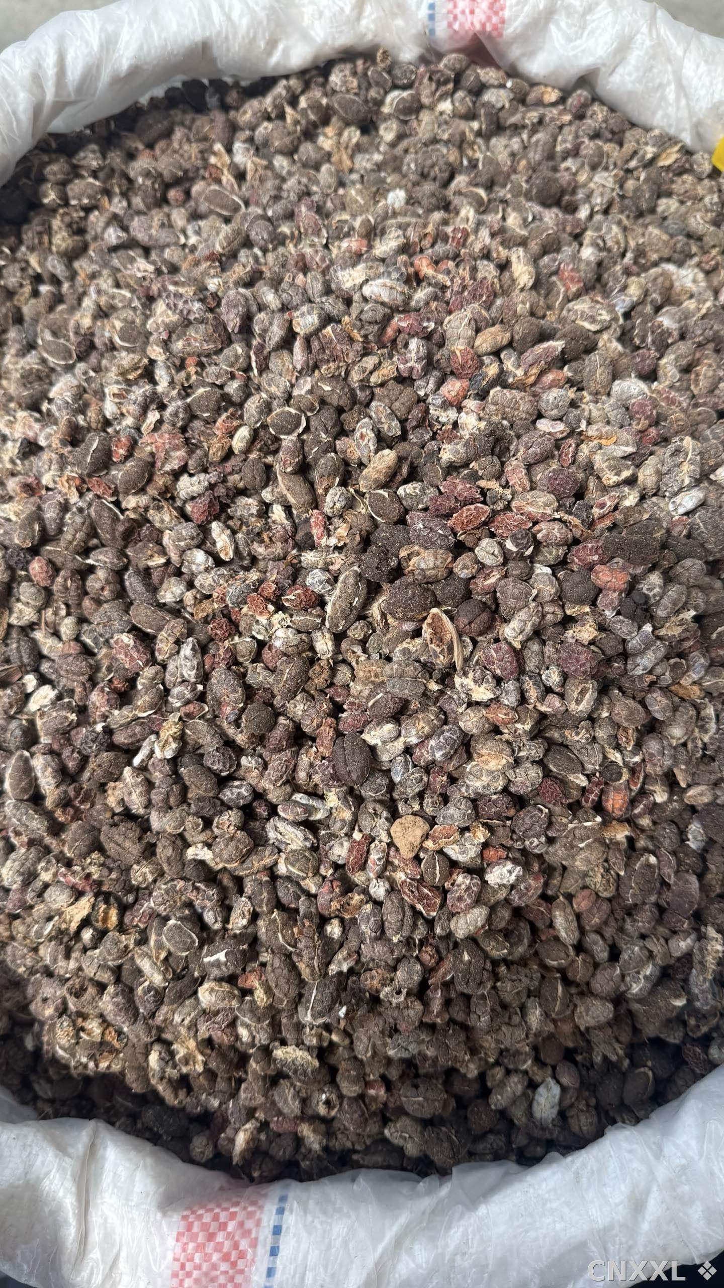 spice_25776_2e39f035_3.jpg