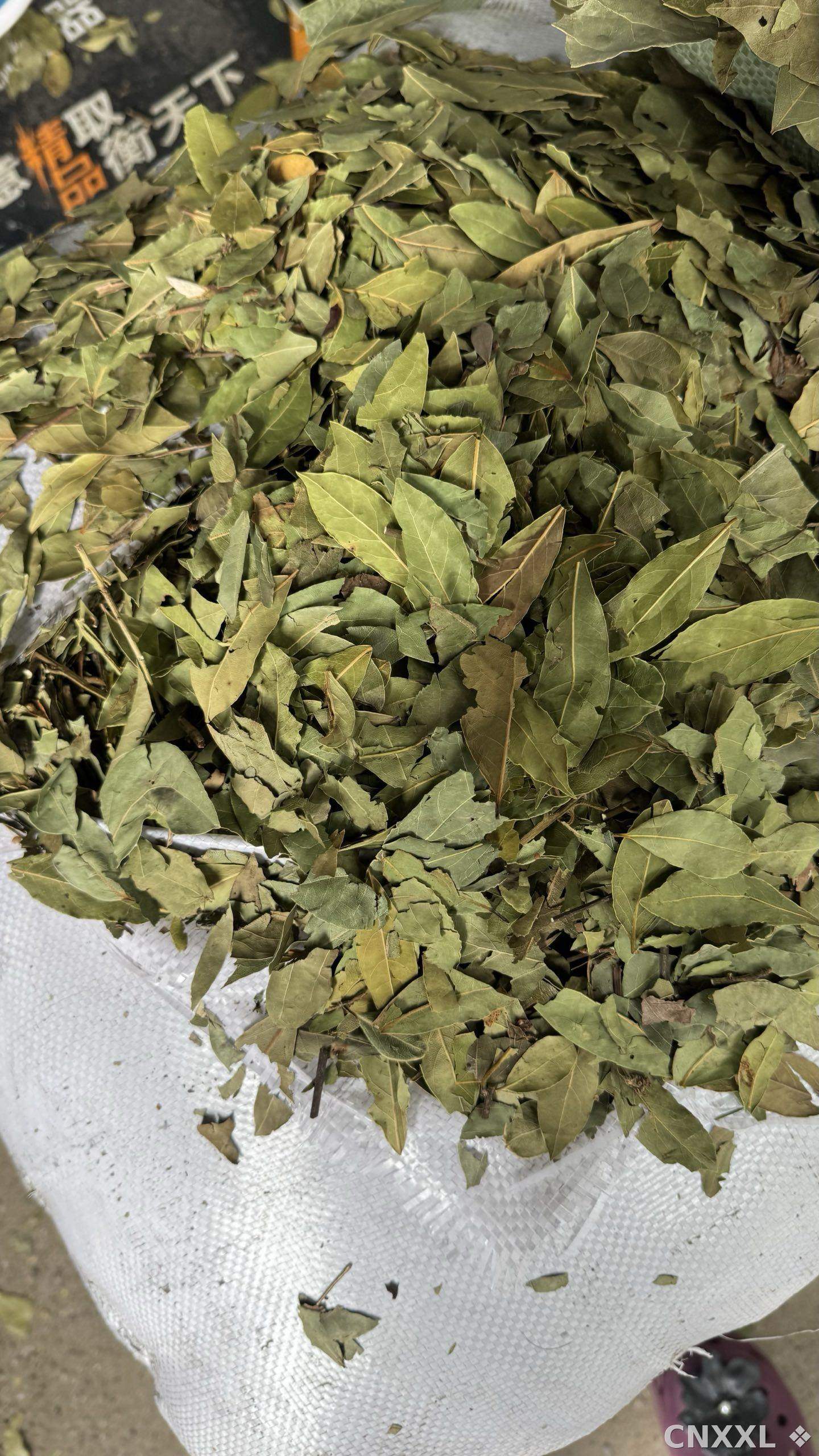 spice_25777_a9bad58d_3.jpg