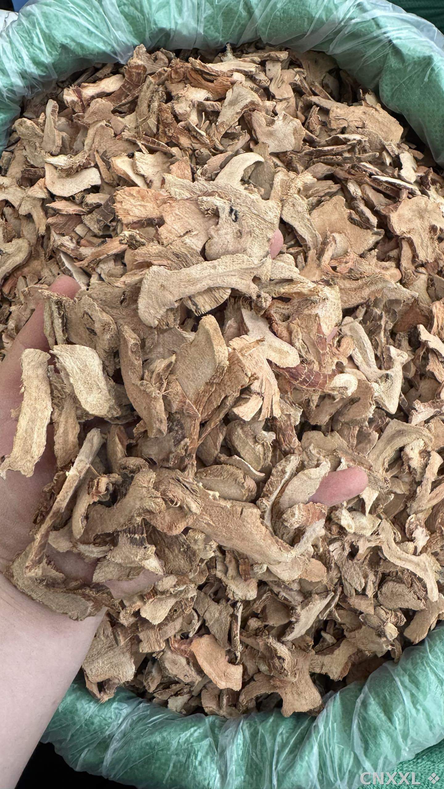 spice_25778_0d82b380_2.jpg