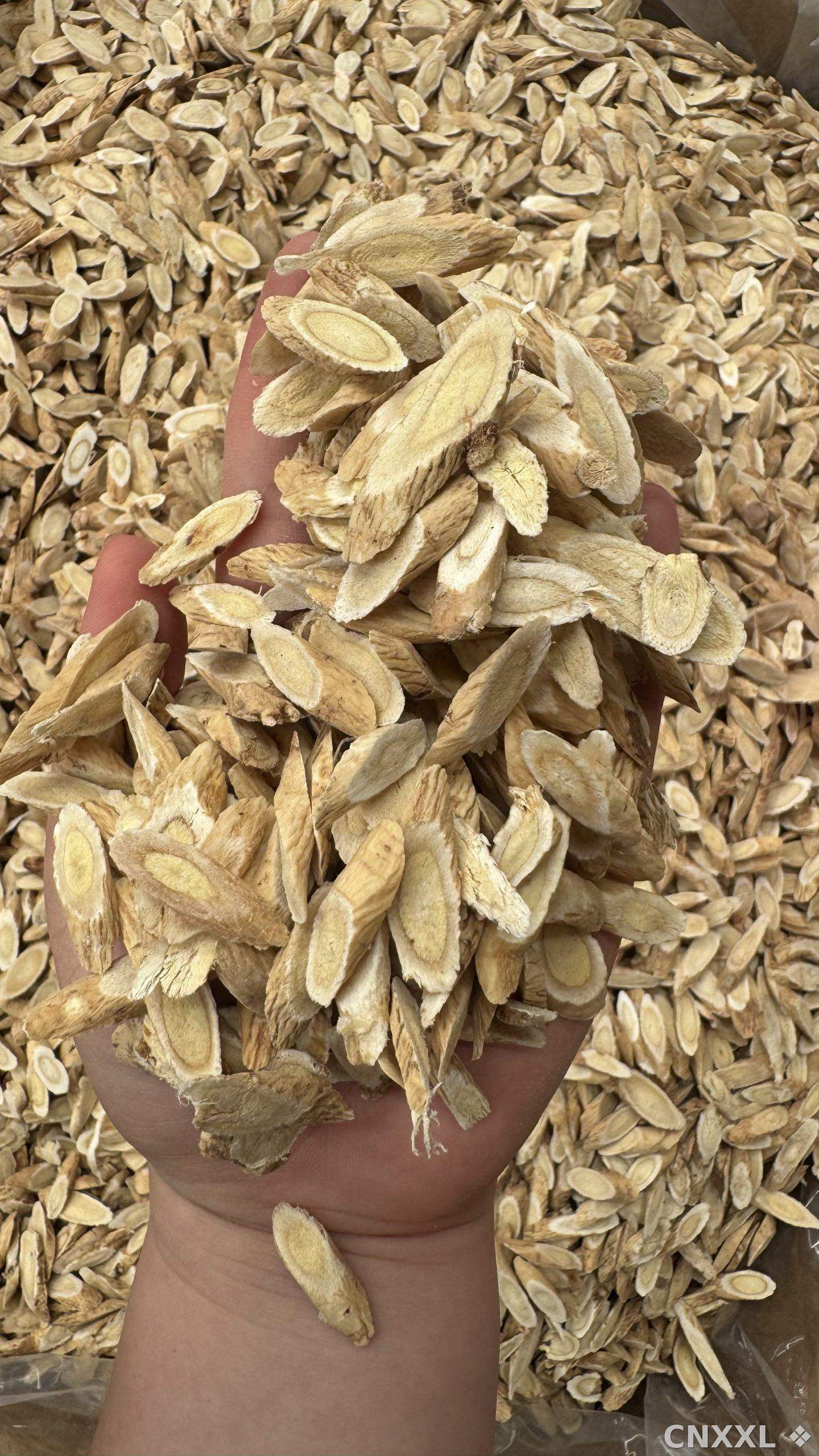 spice_25784_4e6555b3_2.jpg