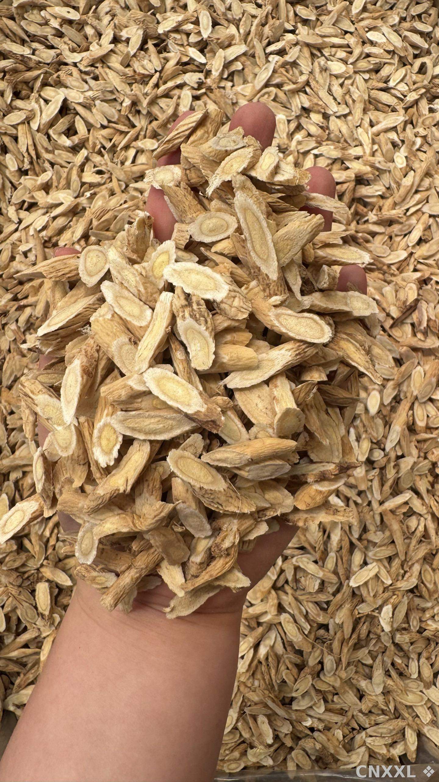 spice_25785_1c1e96c1_1.jpg