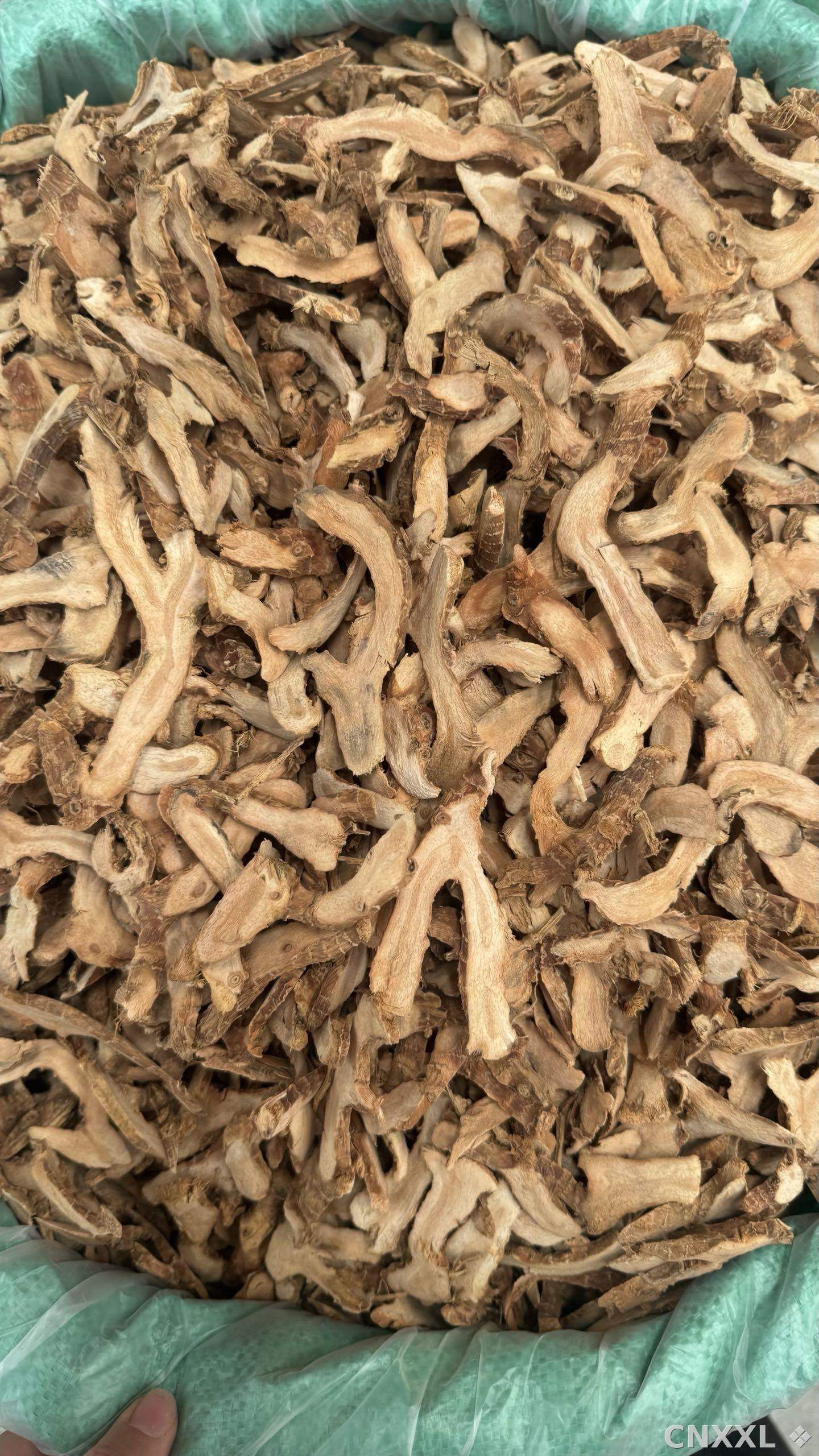 spice_25792_bbed2b9e_2.jpg