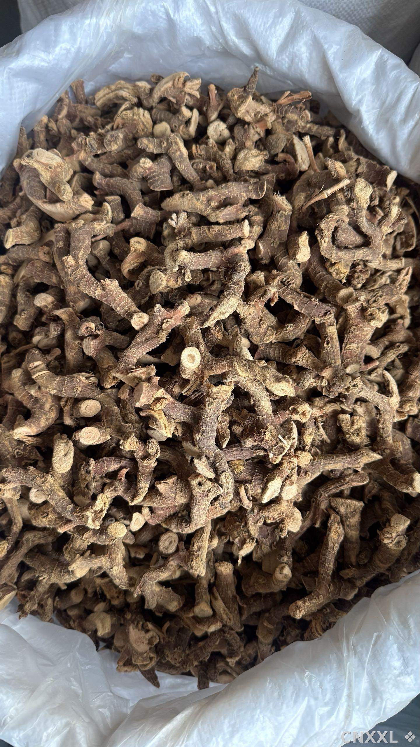 spice_25802_4017779d_3.jpg