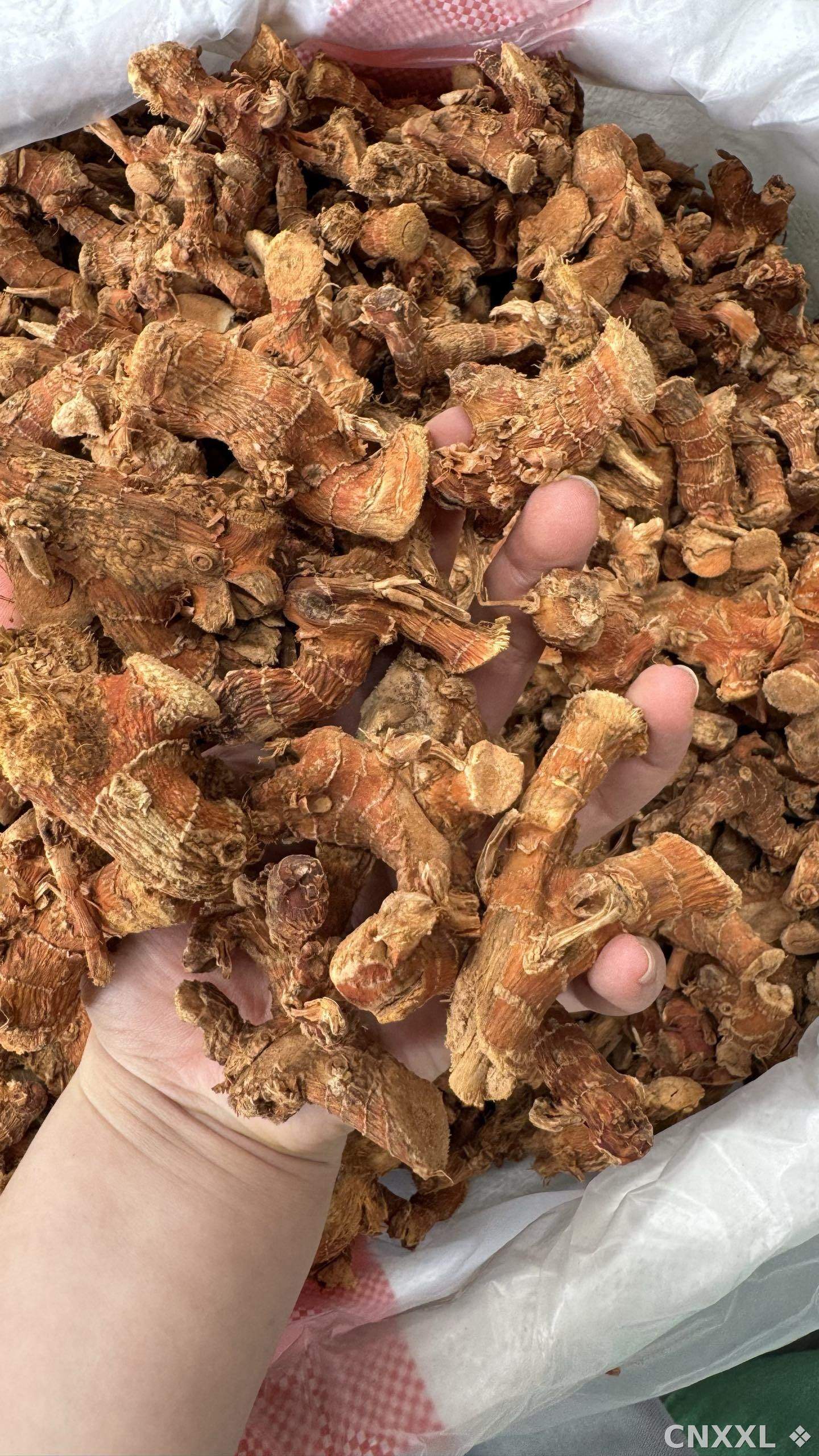spice_25803_4cefc75e_2.jpg