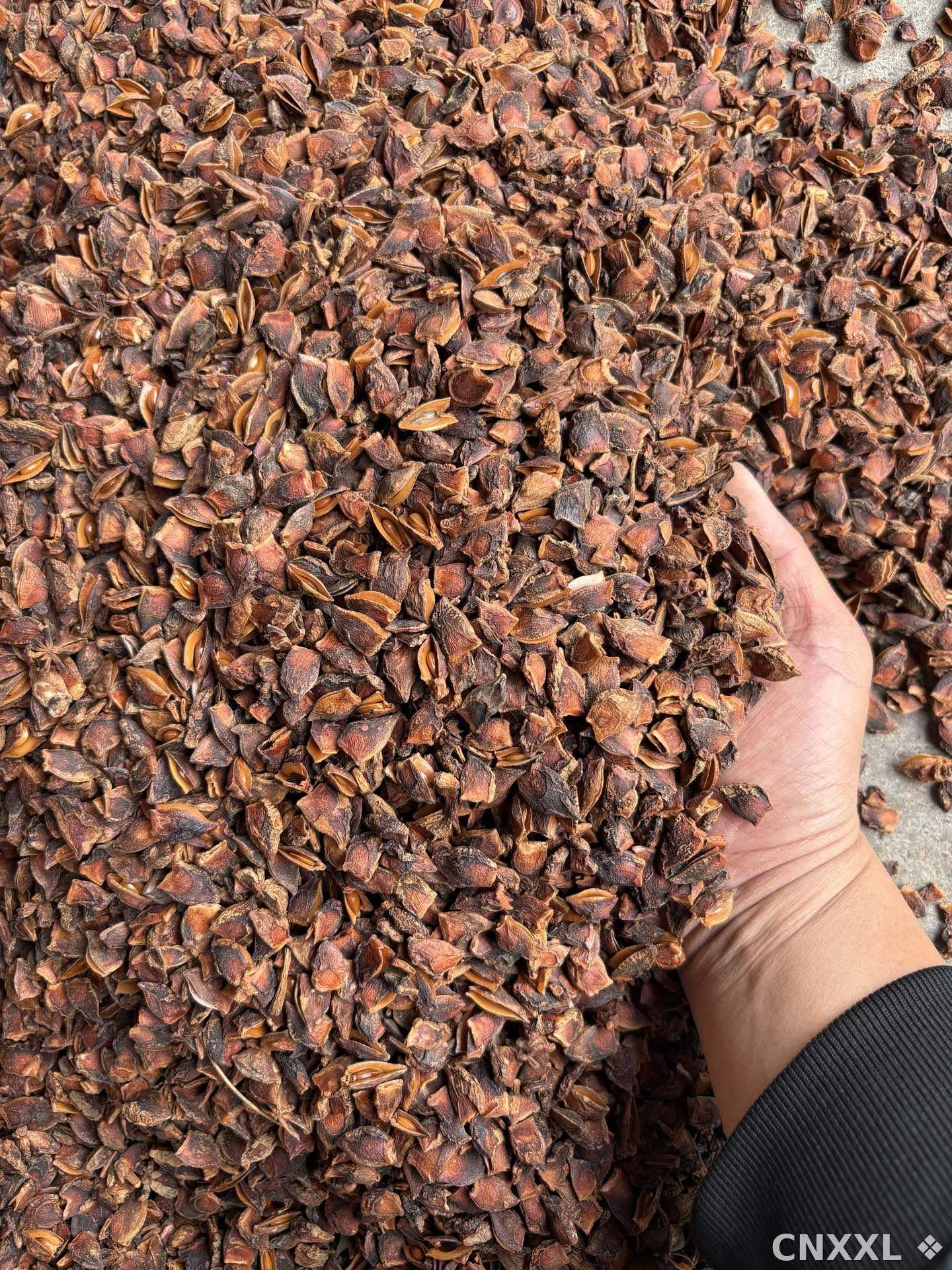 spice_25817_2a53afdc_2.jpg