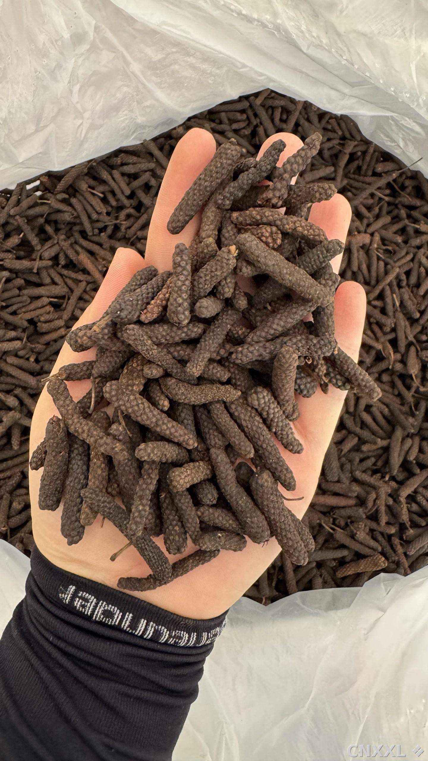 spice_25820_d3e0ec34_1.jpg