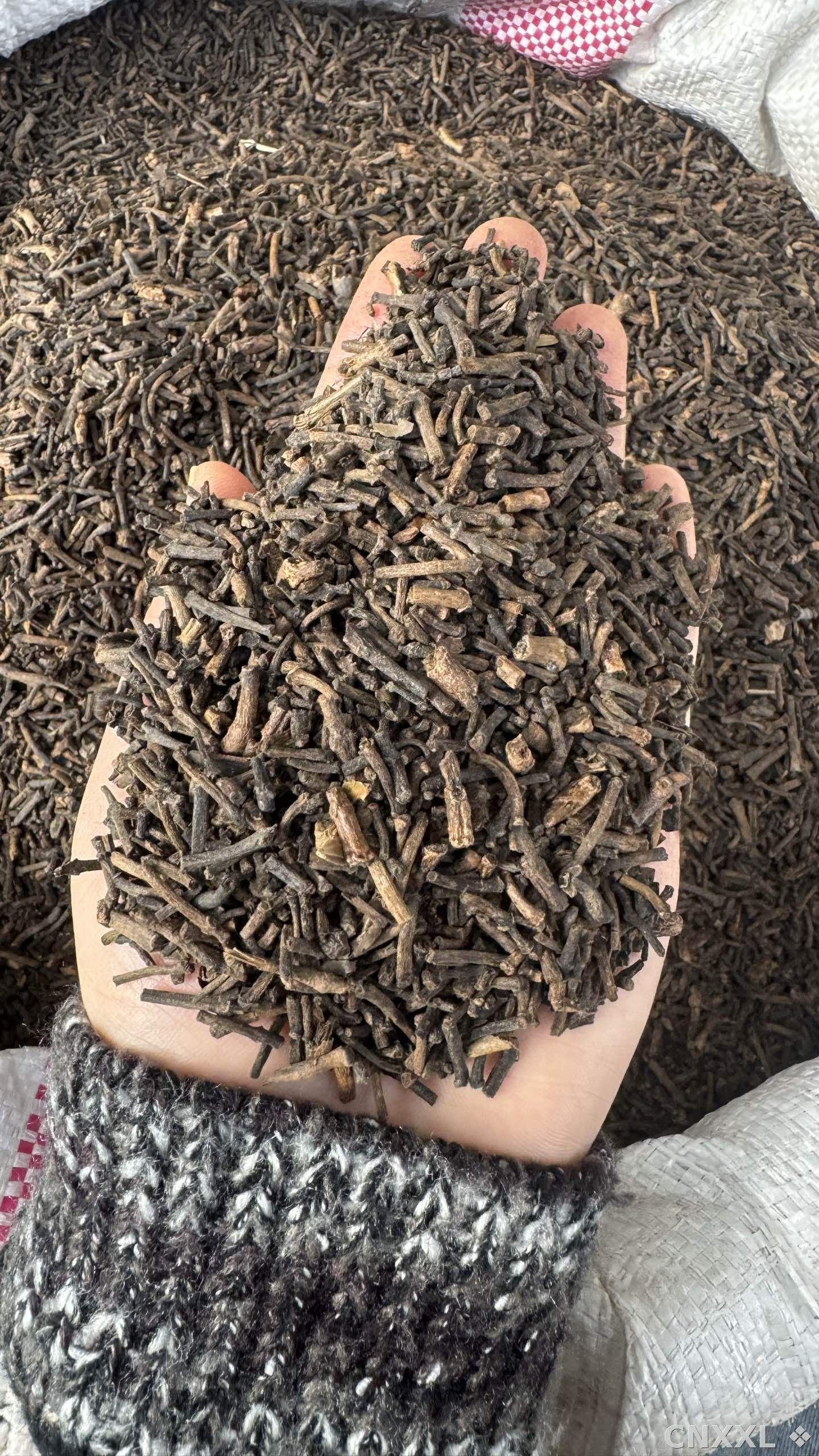 spice_25823_3d4ac731_1.jpg