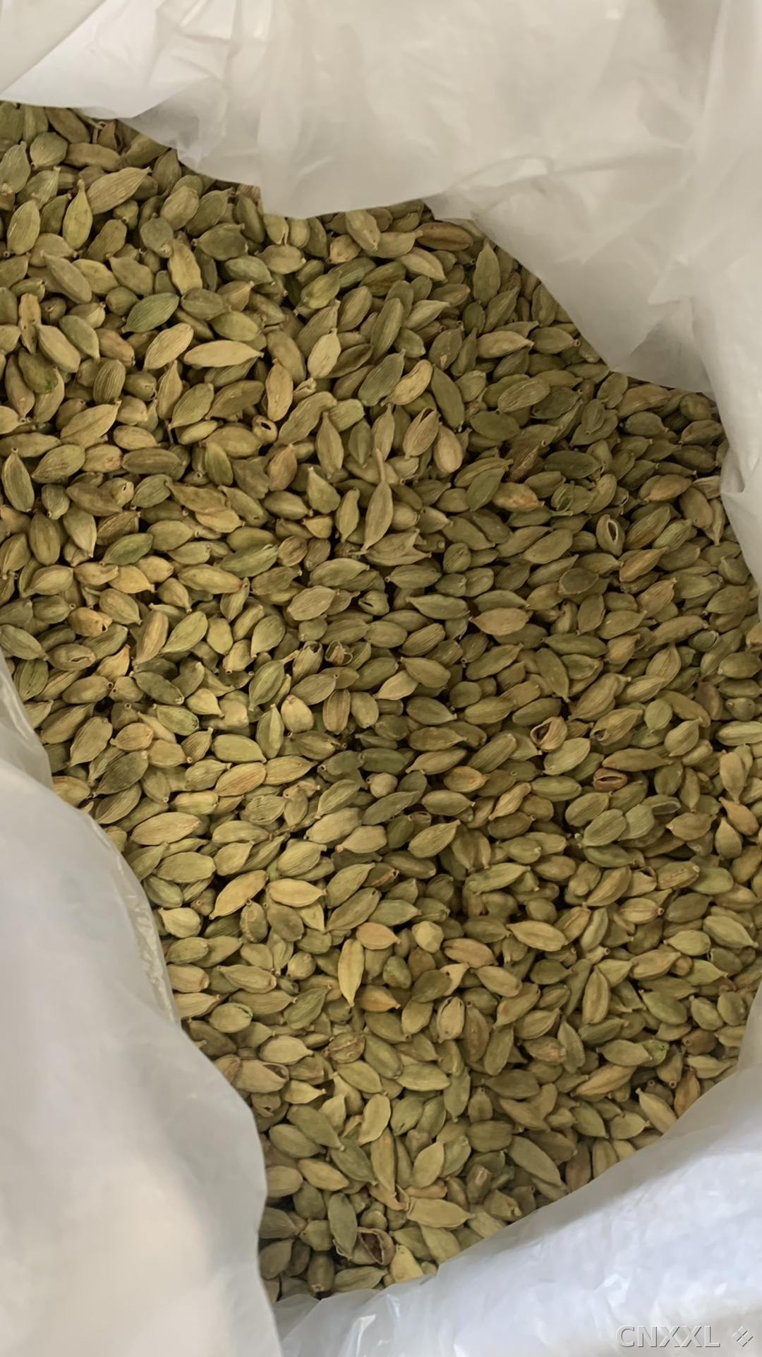 spice_25838_ac1b9673_3.jpg