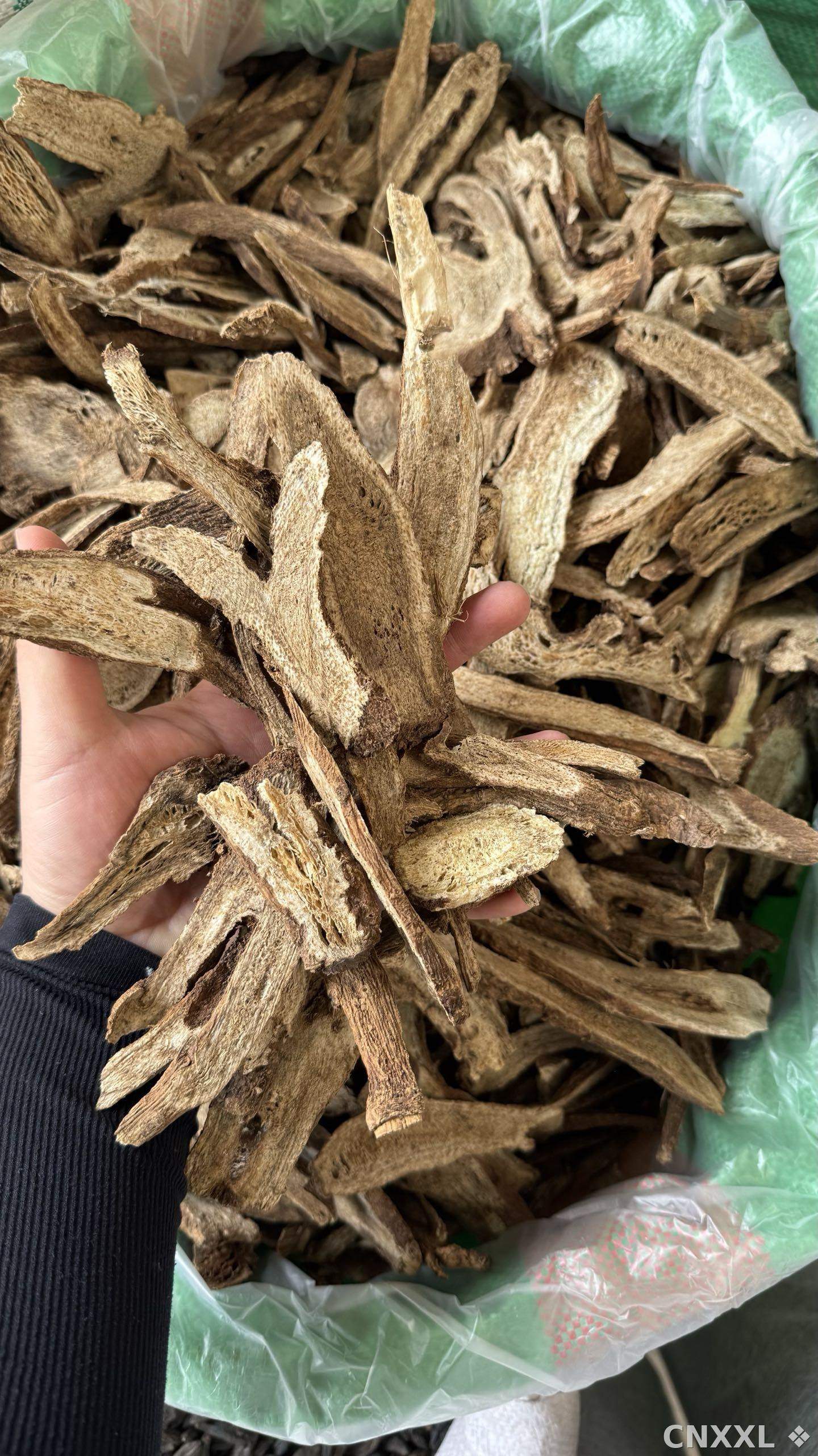 spice_25845_cc9e76f4_2.jpg