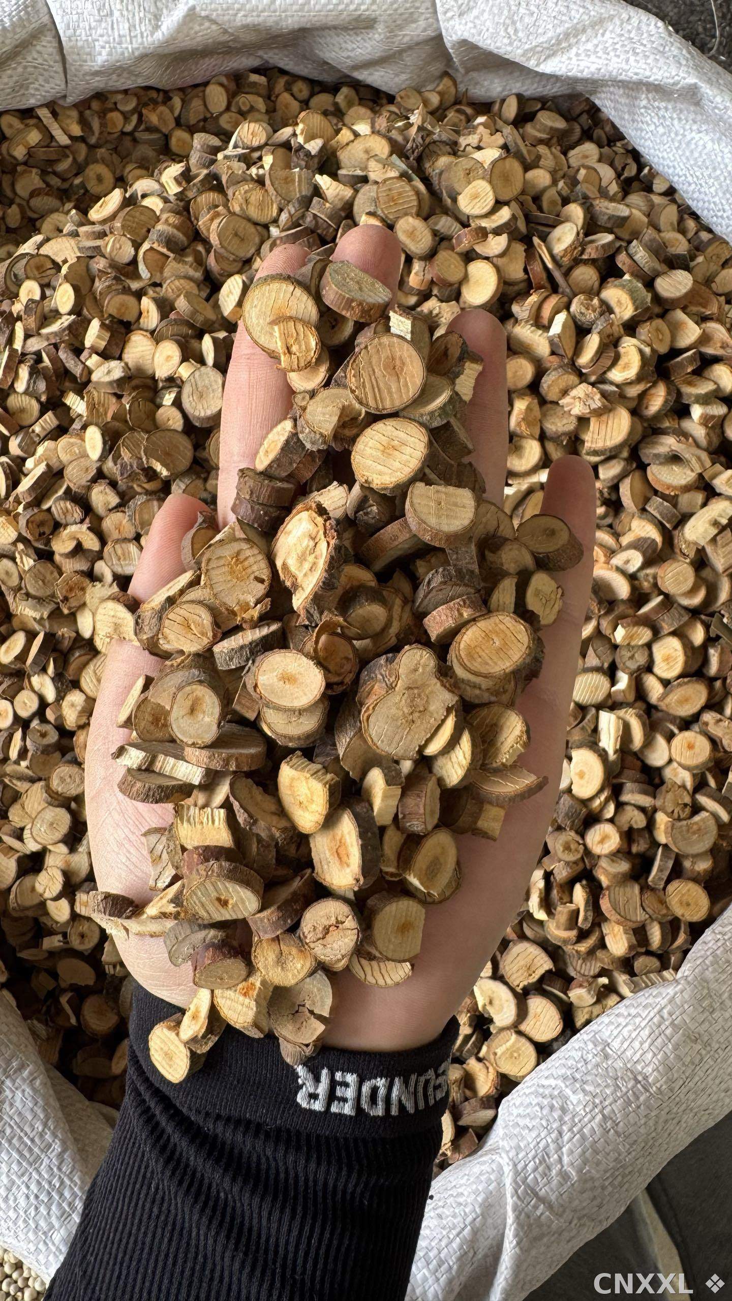 spice_25846_d8faea7c_1.jpg