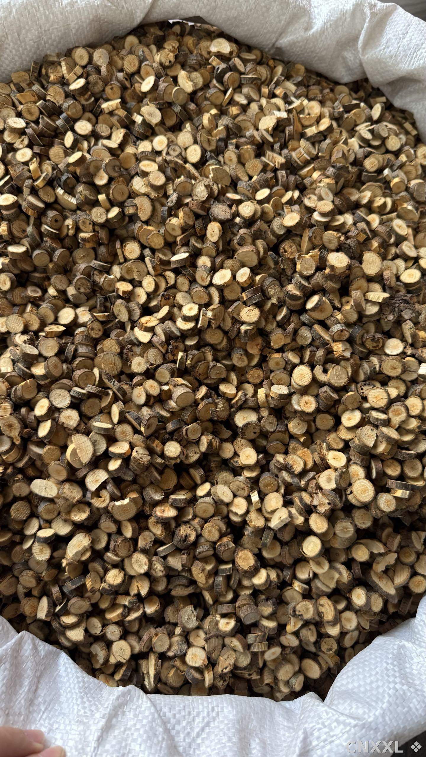 spice_25847_a39a227a_3.jpg
