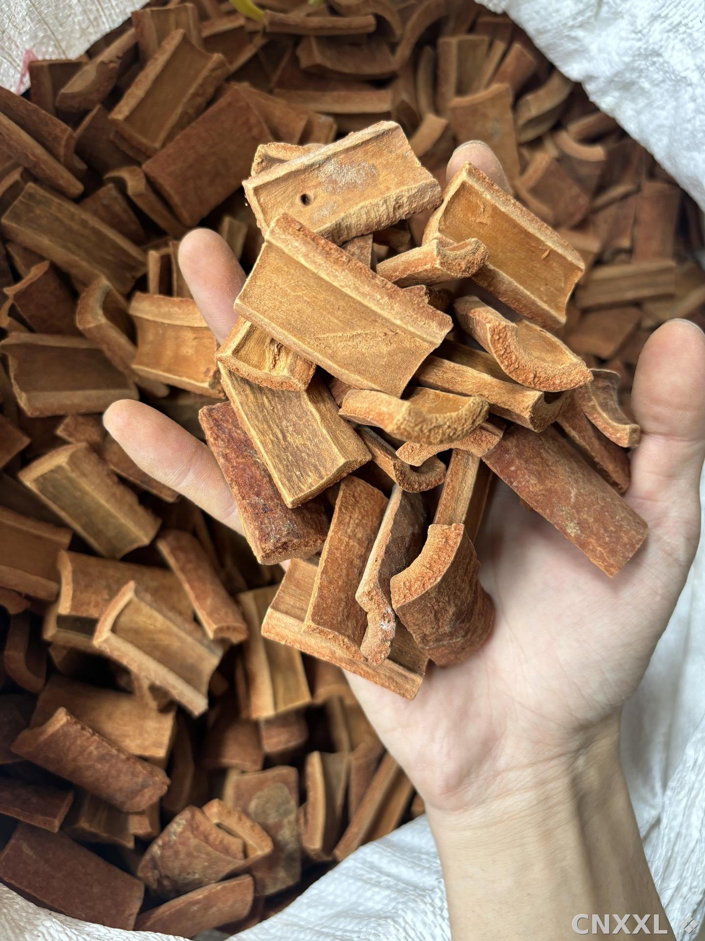 spice_25849_cc3f6c7f_1.jpg
