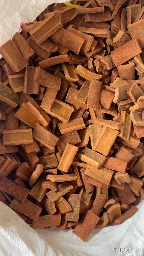 spice_25850_88f419a8_1.jpg