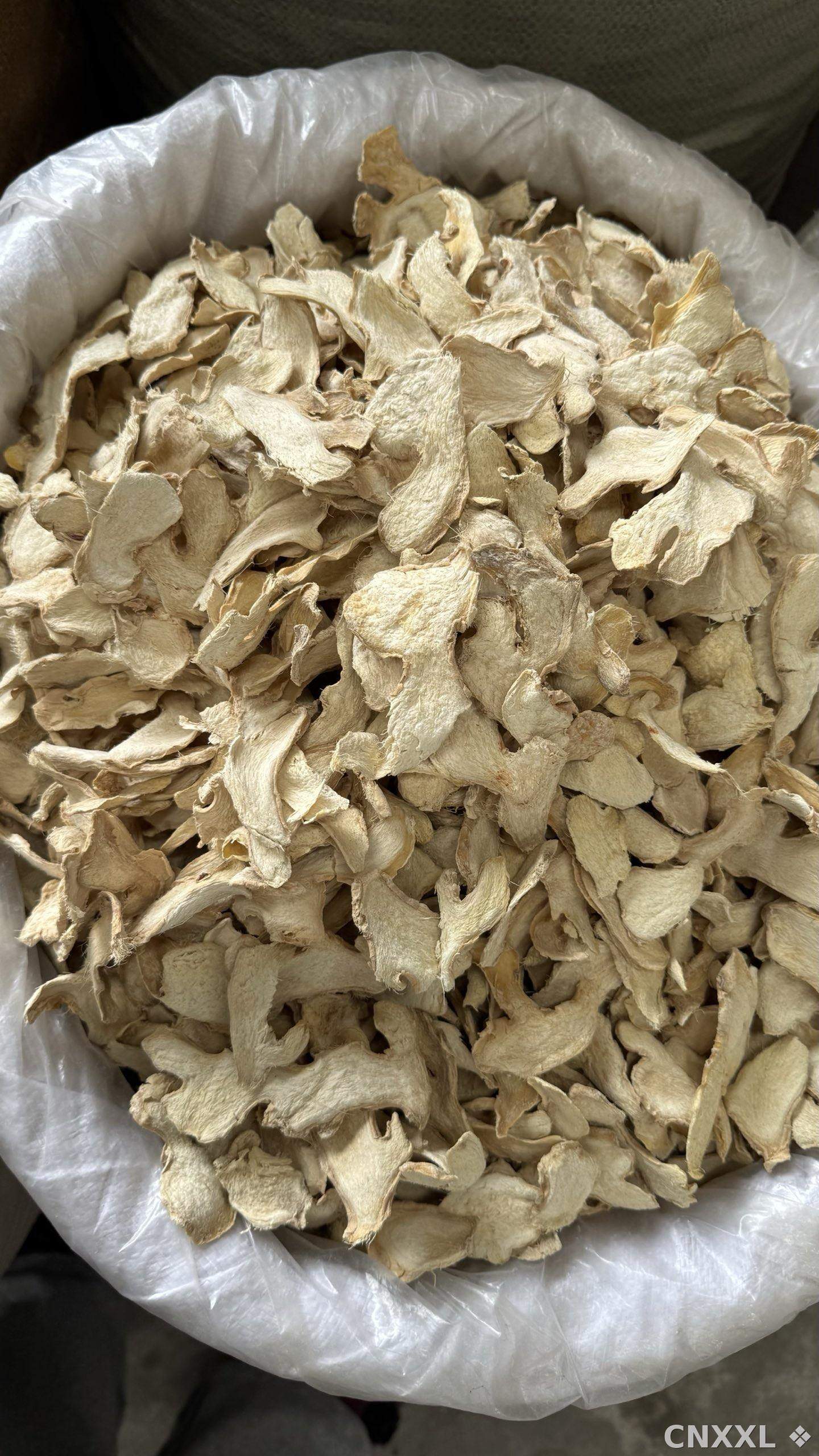 spice_25851_dd8eae2c_1.jpg