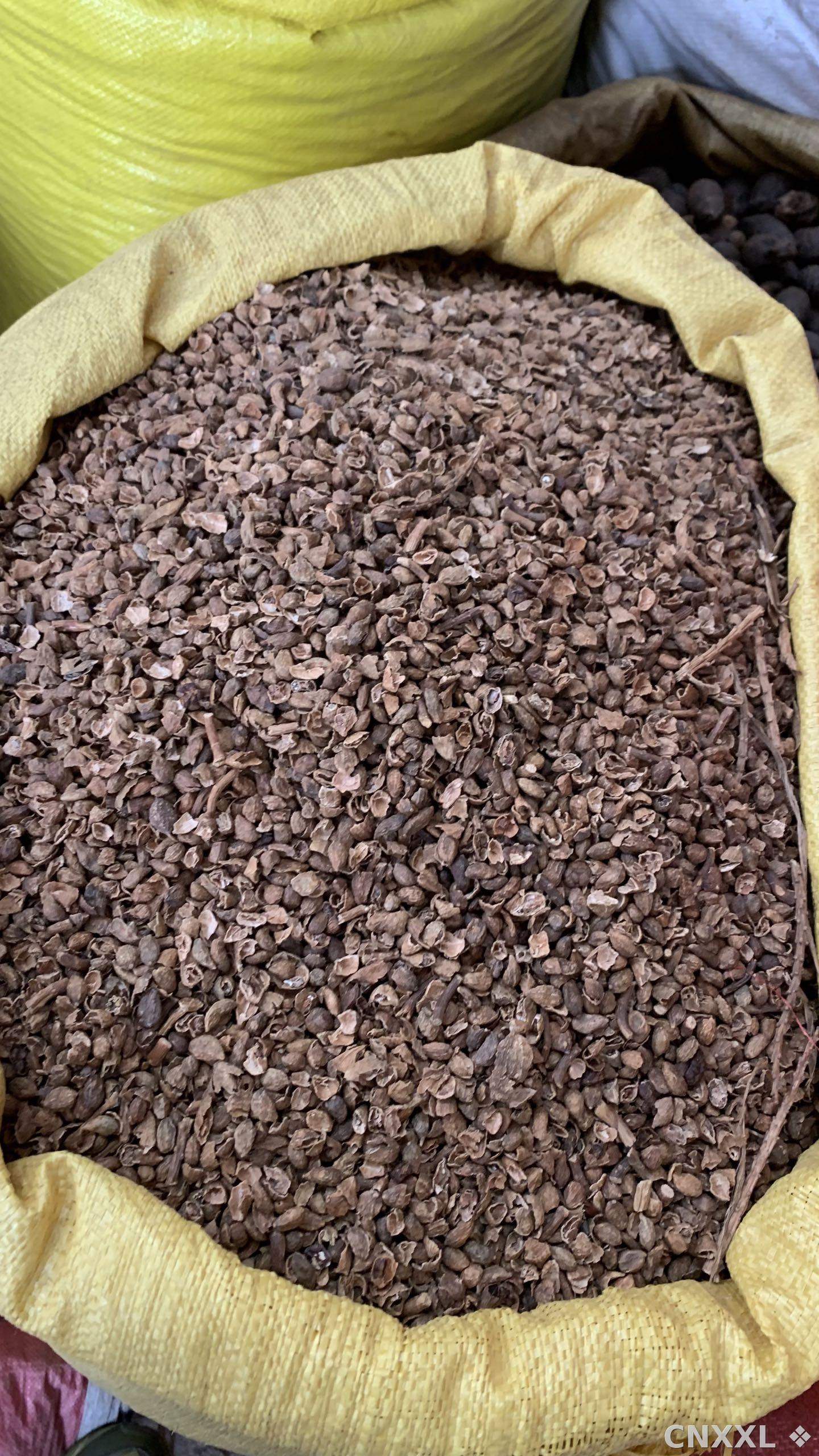 spice_25856_ec2b7621_3.jpg