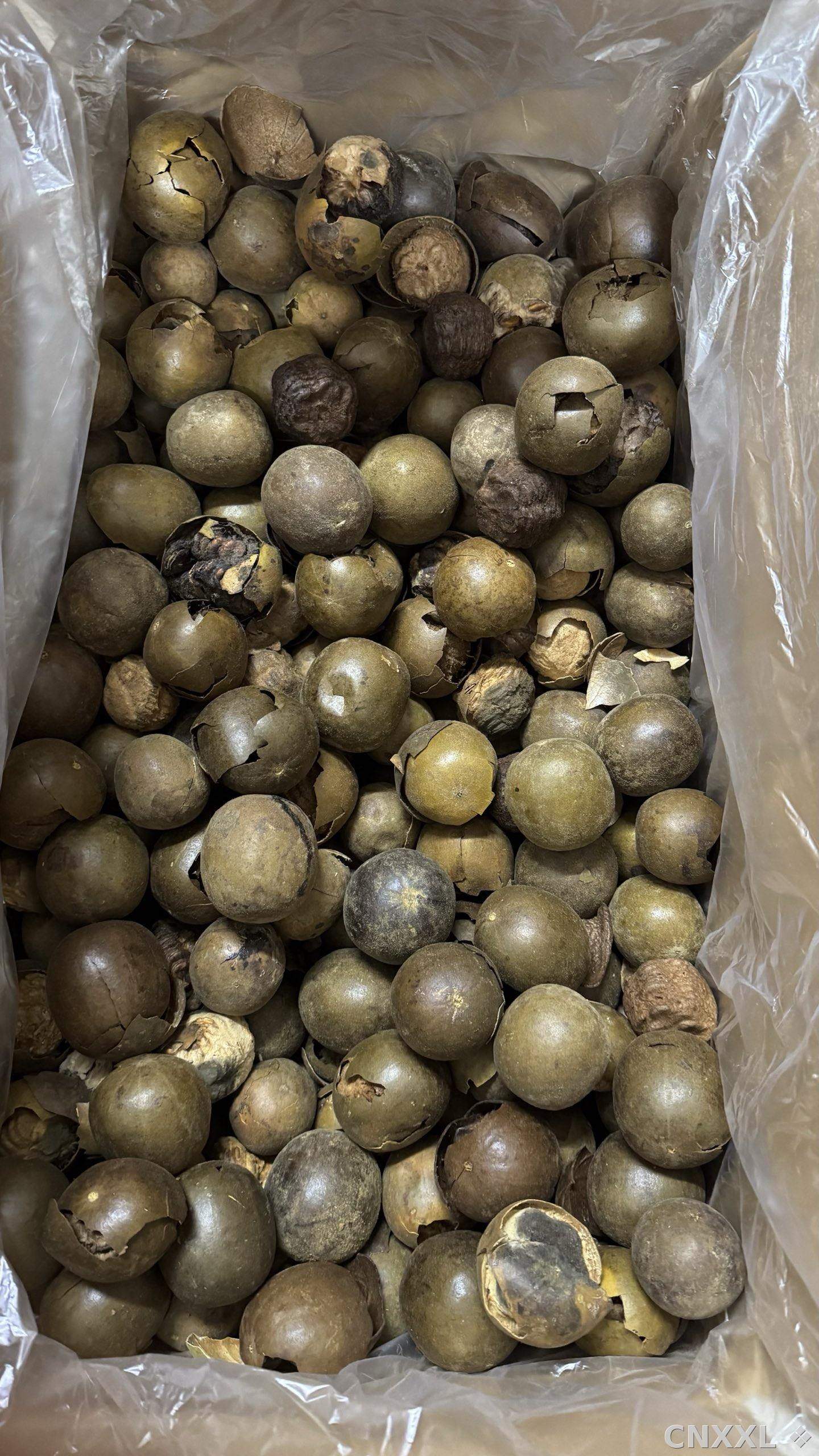 spice_25859_6f95b9ca_2.jpg