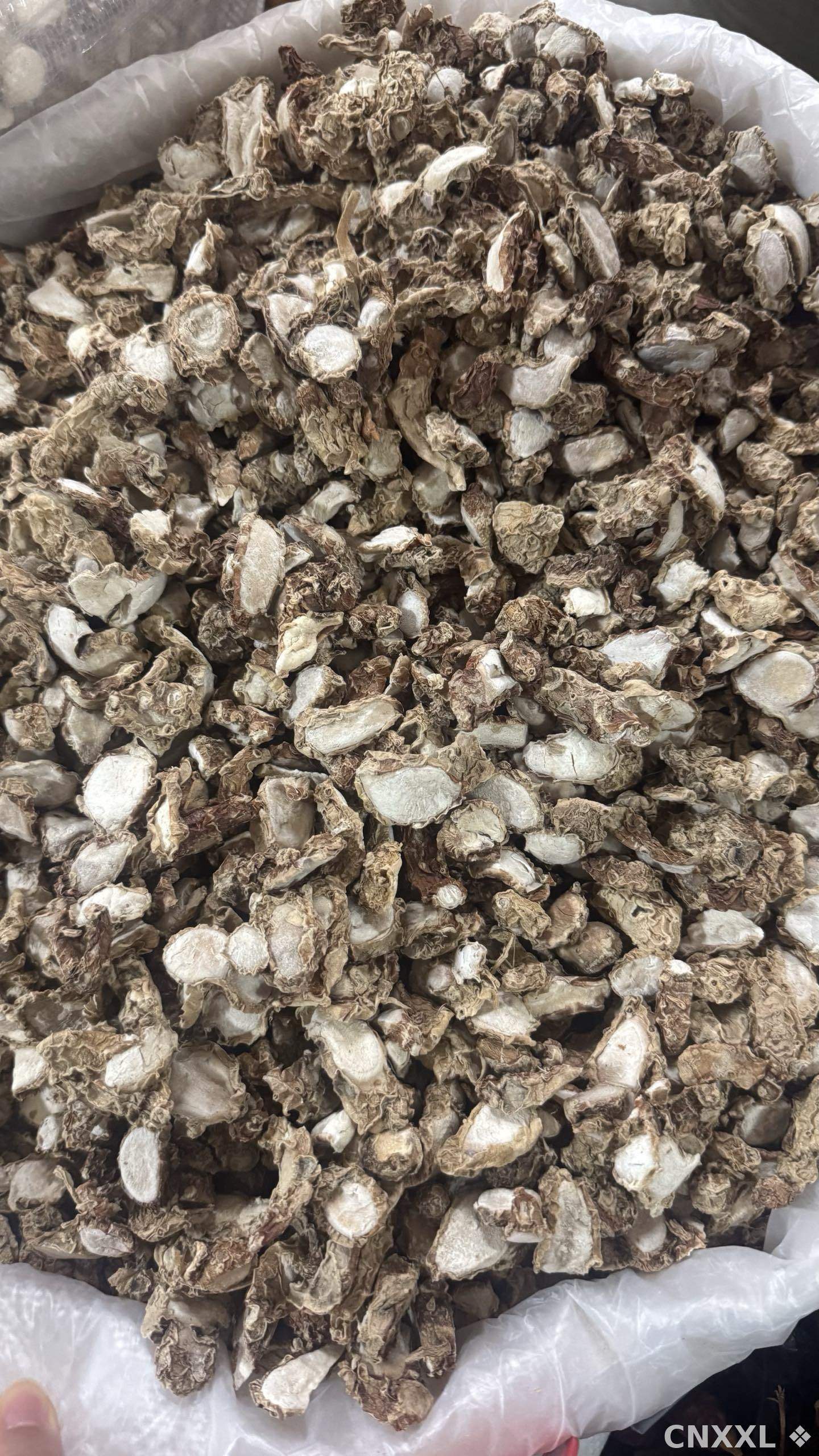 spice_25862_7b84fe77_3.jpg