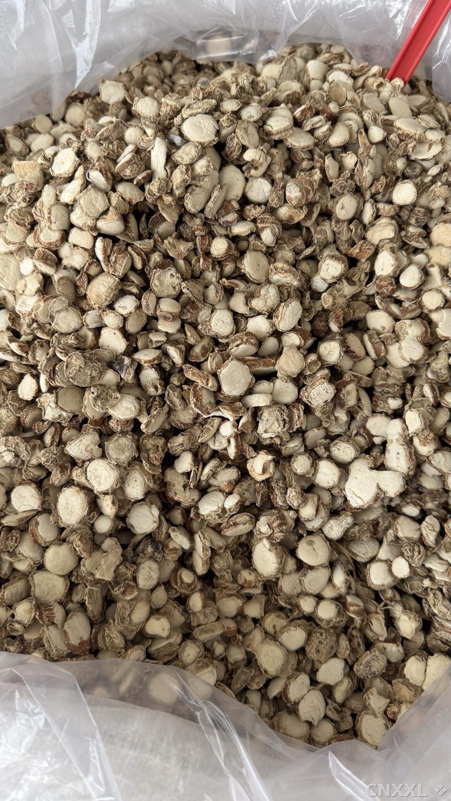 spice_25864_0aee765a_2.jpg