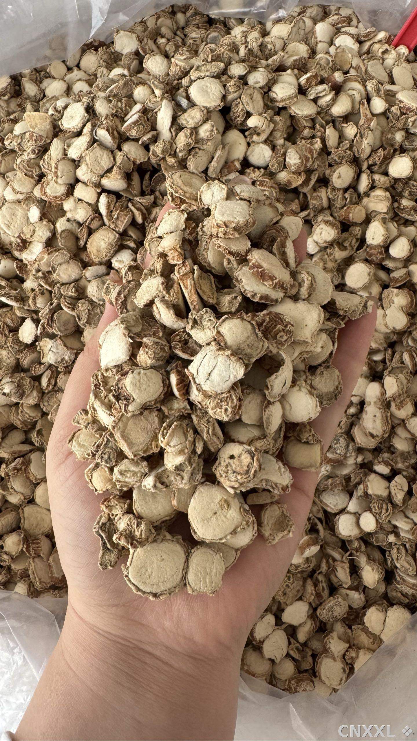 spice_25864_4907413e_1.jpg