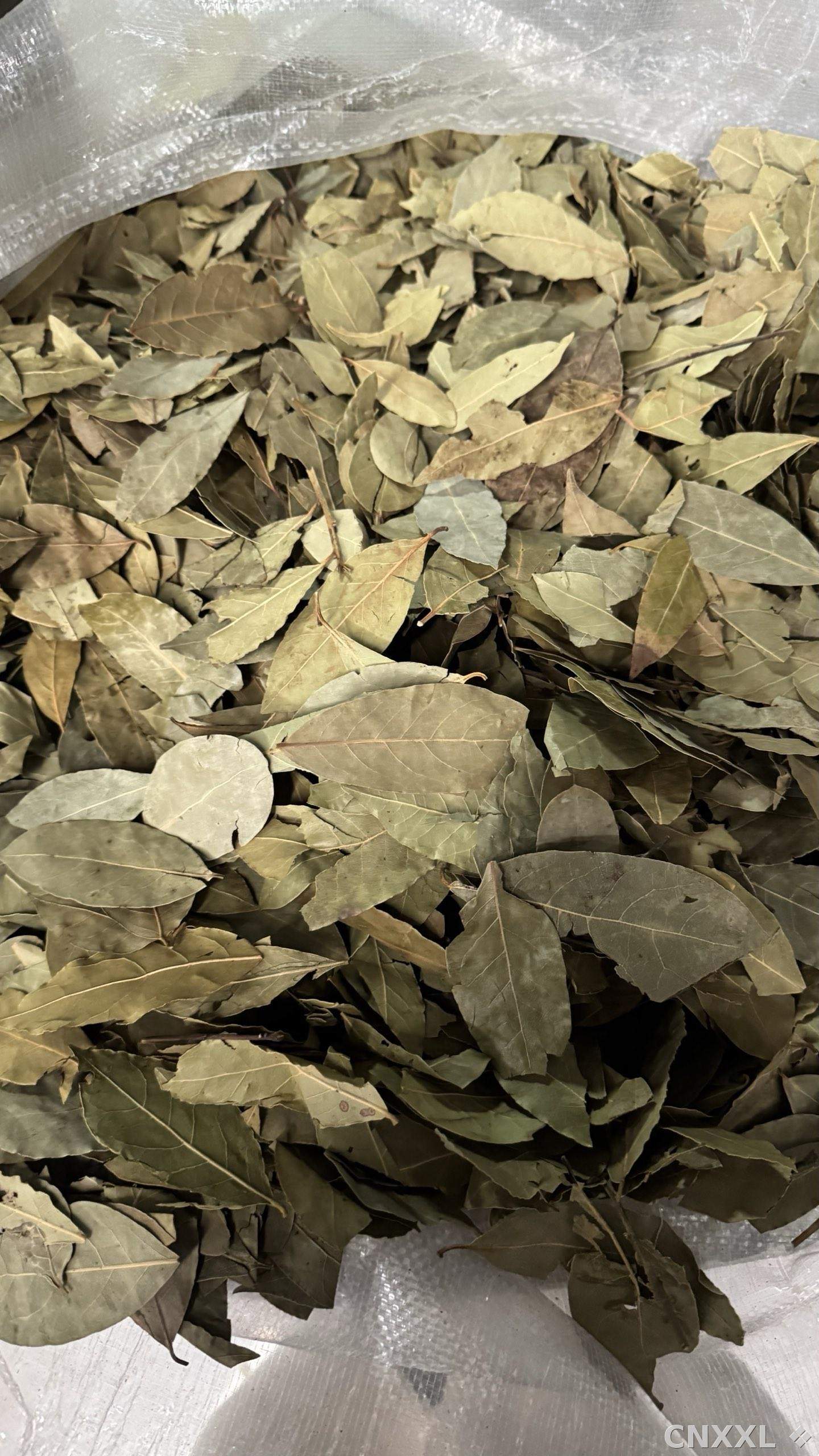 spice_25865_8cbab55f_3.jpg