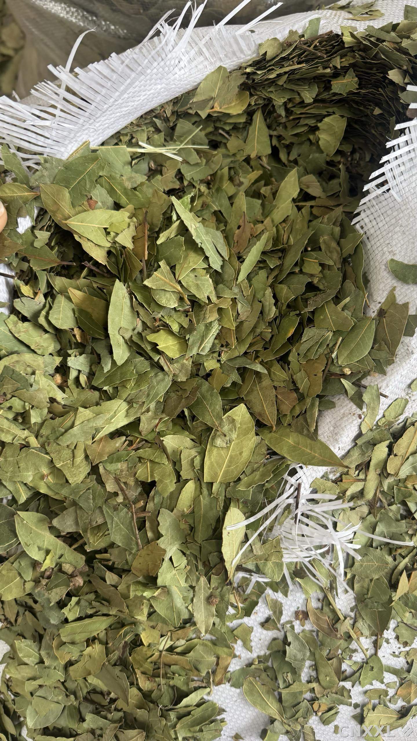 spice_25872_4e91c717_3.jpg
