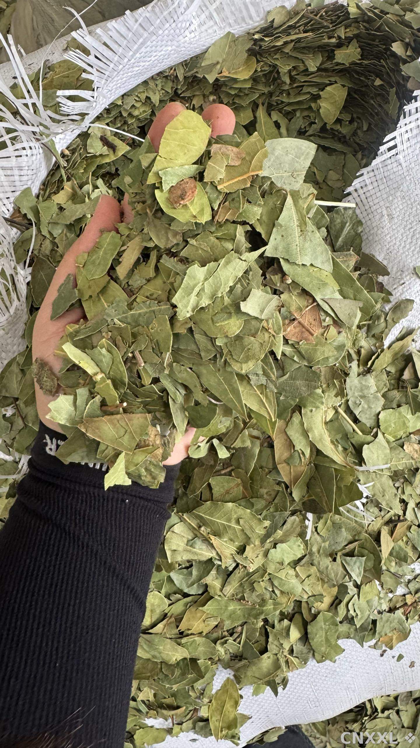 spice_25872_c68e8b7f_1.jpg