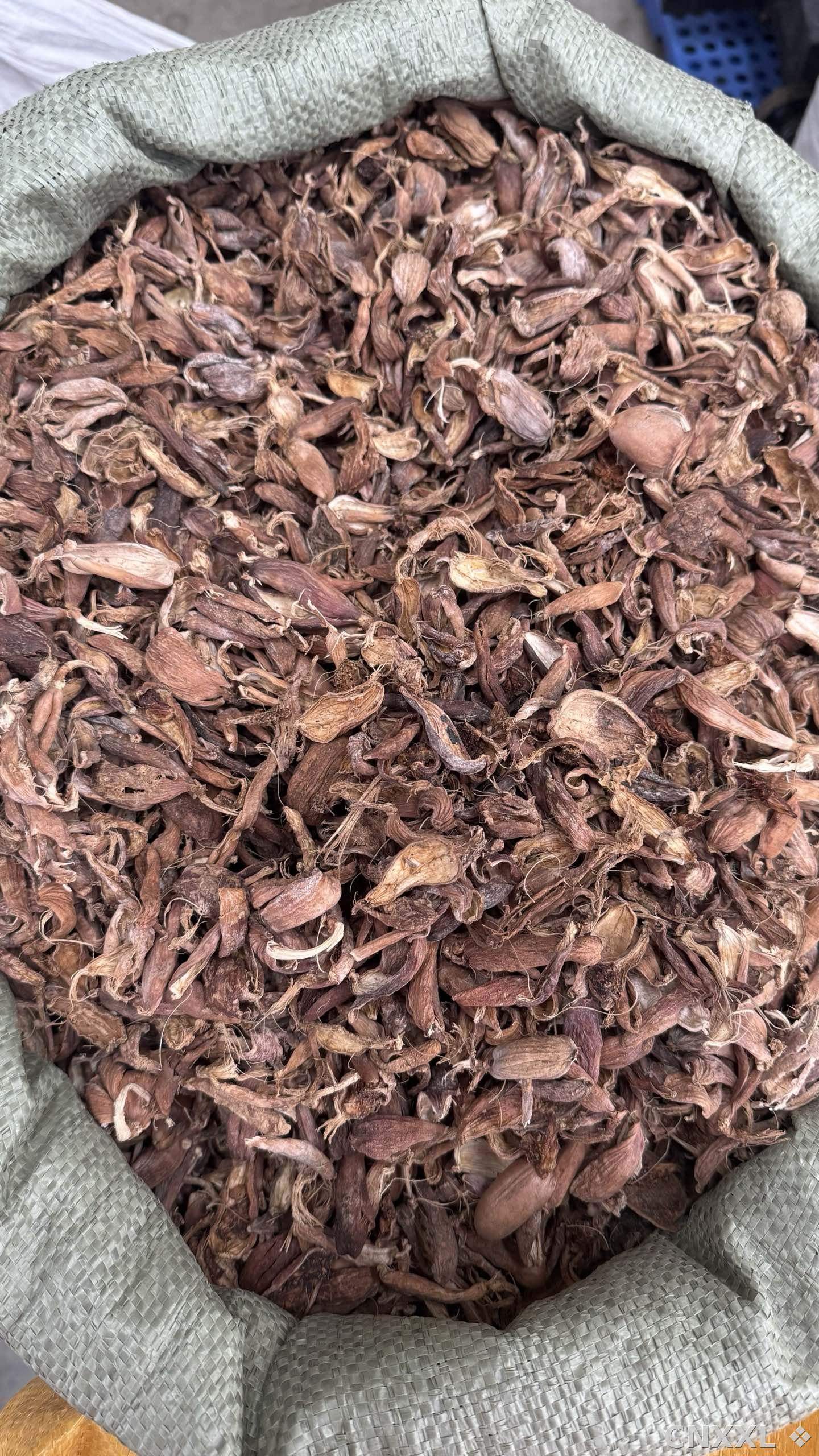 spice_25873_2cb3ce5c_2.jpg