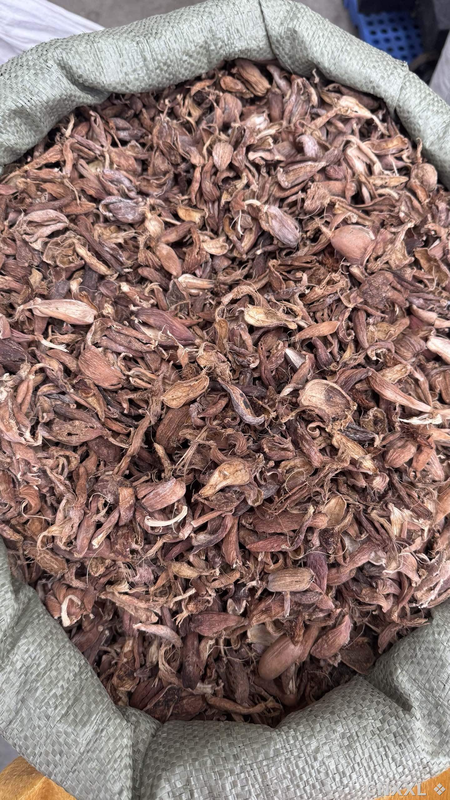 spice_25873_c9e14ead_3.jpg