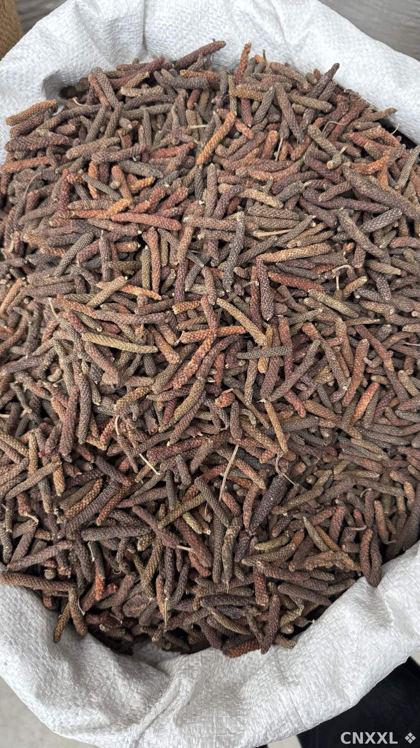 spice_25882_d7690706_3.jpg