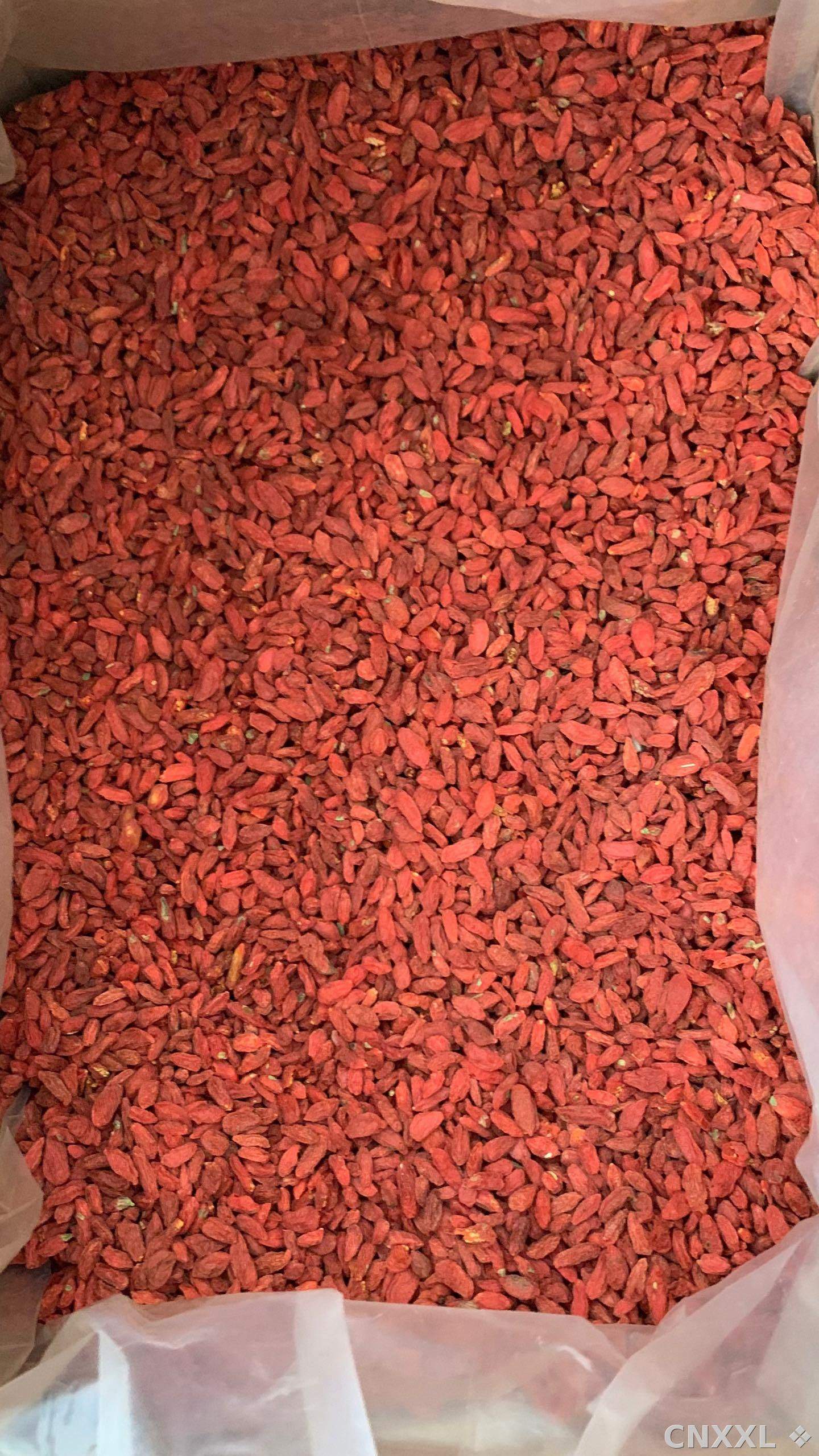 spice_25883_c1b25163_3.jpg