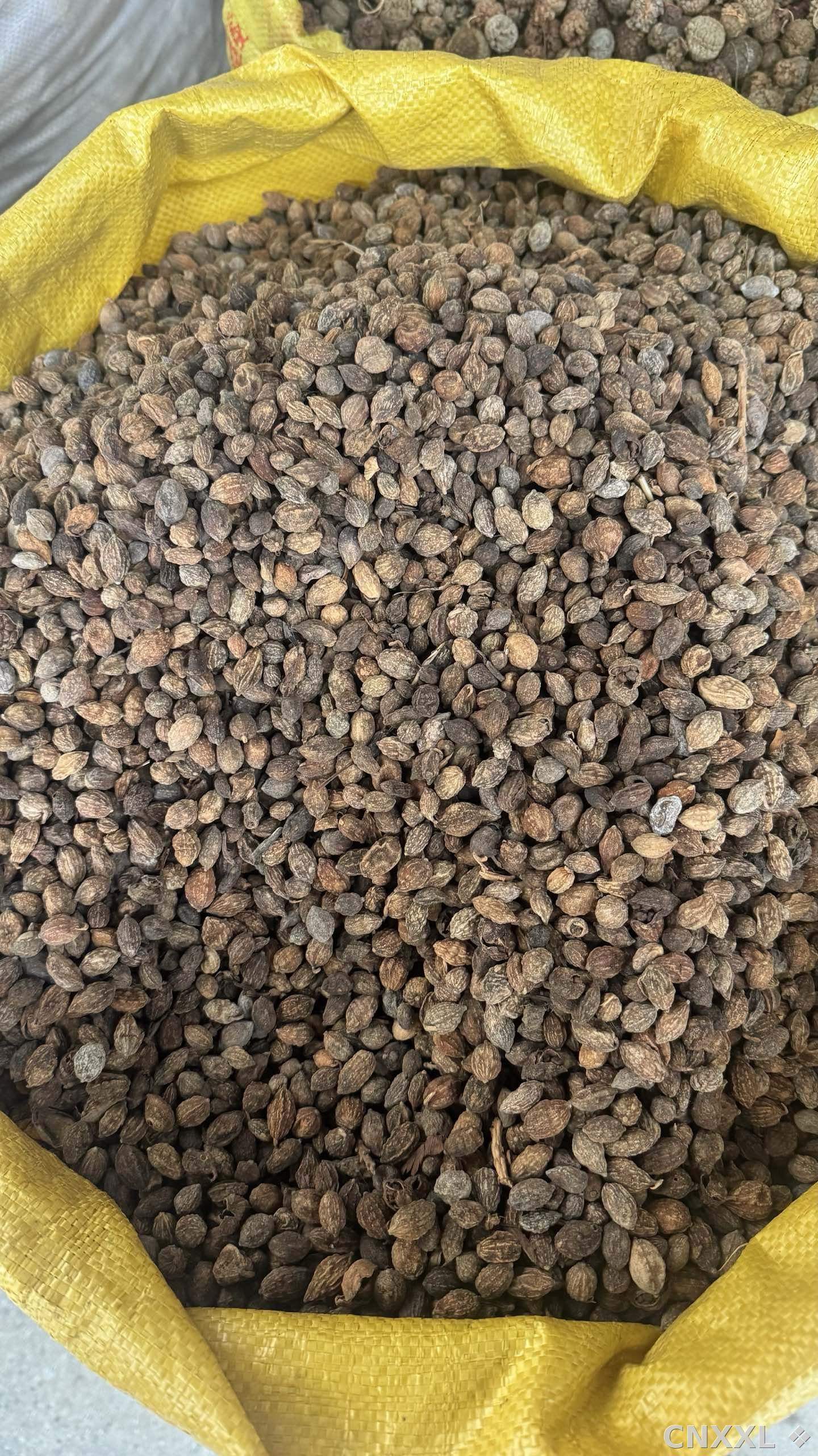 spice_25884_c81044c7_2.jpg